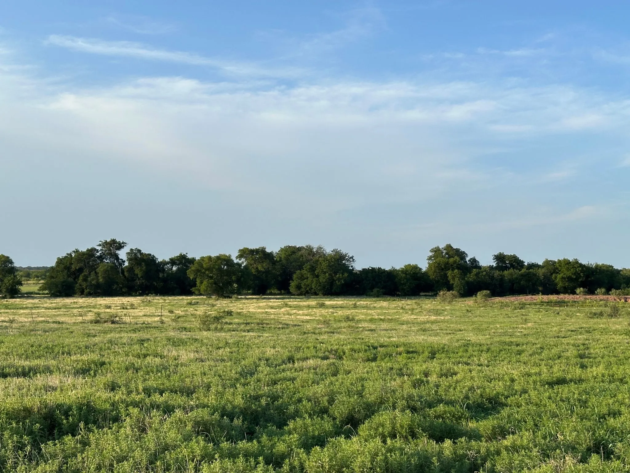 Improved Land For Sale in Montague County , TBD Rock Springs School Road, Nocona, Texas 76255, 0, 0, Garage spaces, 0 Sqft, built in 0, mls#21314669, Real Estate Agent in Nocona, Homes For Sale in Montague county, Homes For Sale in Nocona, Realtor in Nocona Texas, Real Estate Brokerage Independent Realty Texas, Luminita Cordes Realtor