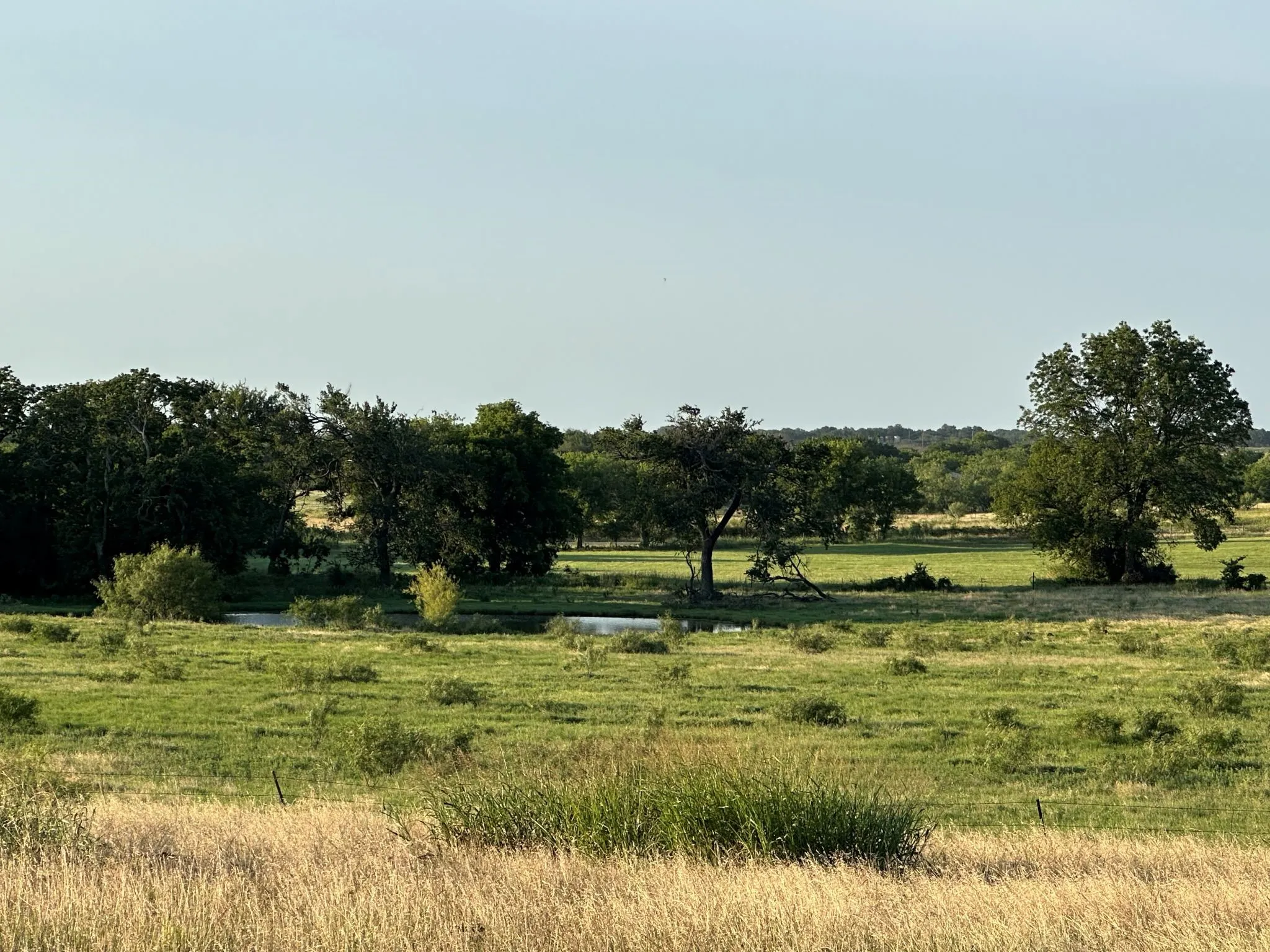 Improved Land For Sale in Montague County , TBD Rock Springs School Road, Nocona, Texas 76255, 0, 0, Garage spaces, 0 Sqft, built in 0, mls#21314669, Real Estate Agent in Nocona, Homes For Sale in Montague county, Homes For Sale in Nocona, Realtor in Nocona Texas, Real Estate Brokerage Independent Realty Texas, Luminita Cordes Realtor