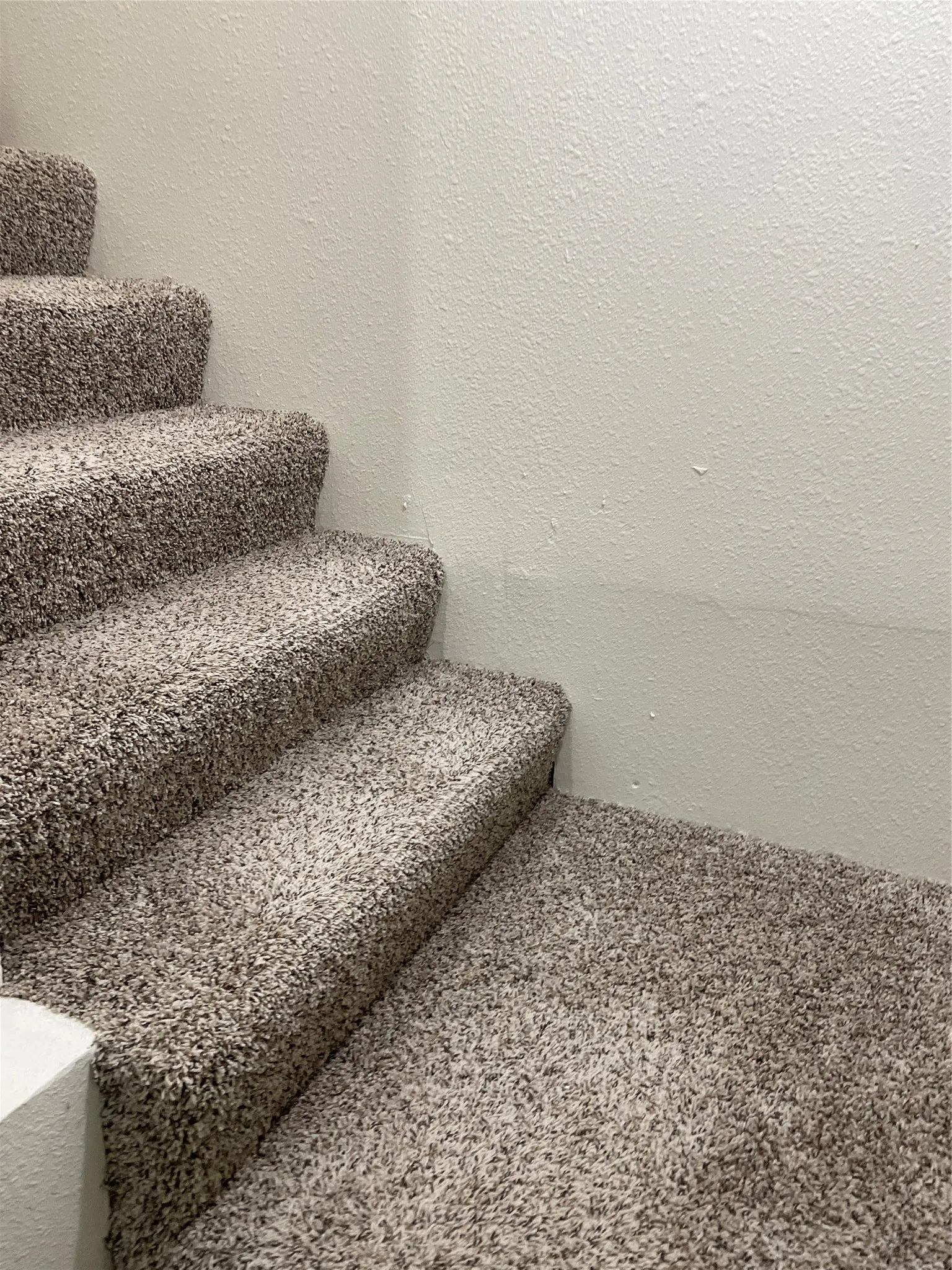 Carpeted staircase with light beige textured walls