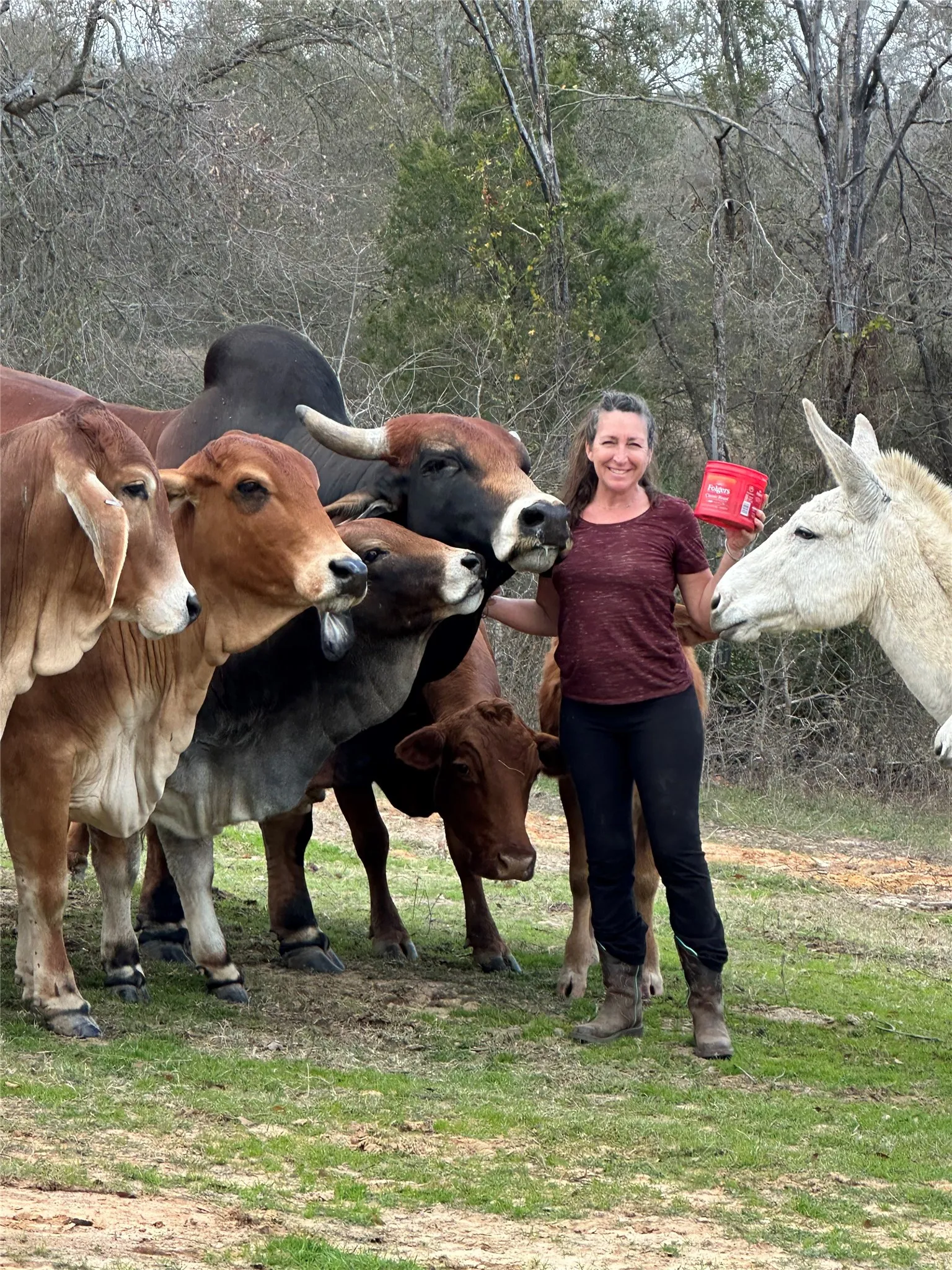 A few of the livestock