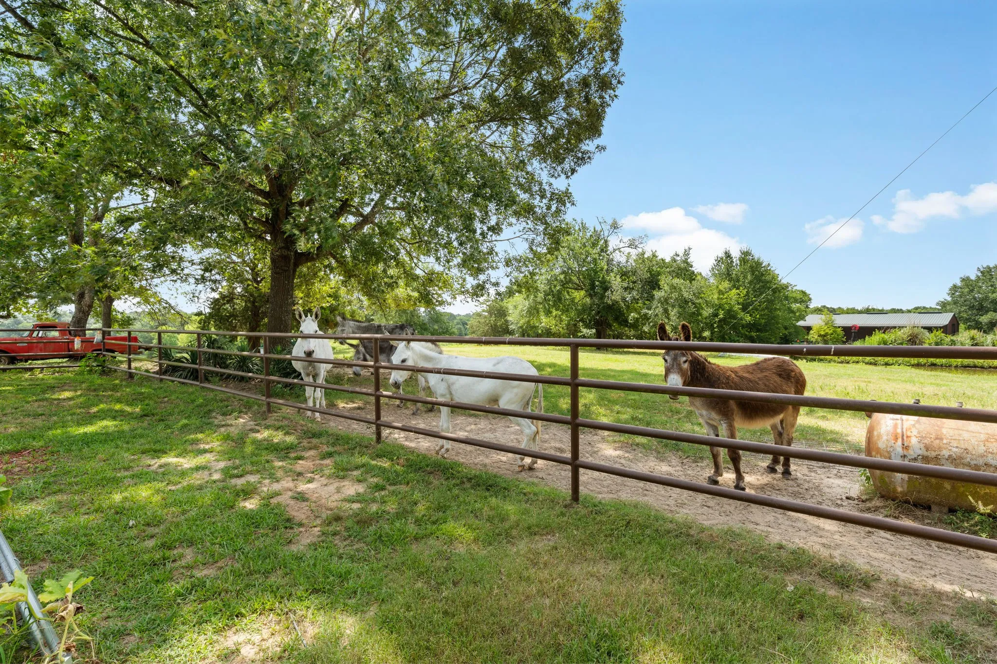 Farm For Sale in Henderson County , 13494 County Road 2919, Eustace, Texas 75124, 3 Bedroom, 2 Bathroom, Garage spaces, 1,694 Sqft, built in 1988, mls#21314752, Real Estate Agent in Eustace, Homes For Sale in Henderson county, Homes For Sale in Eustace, Realtor in Eustace Texas, Real Estate Brokerage Independent Realty Texas, Luminita Cordes Realtor