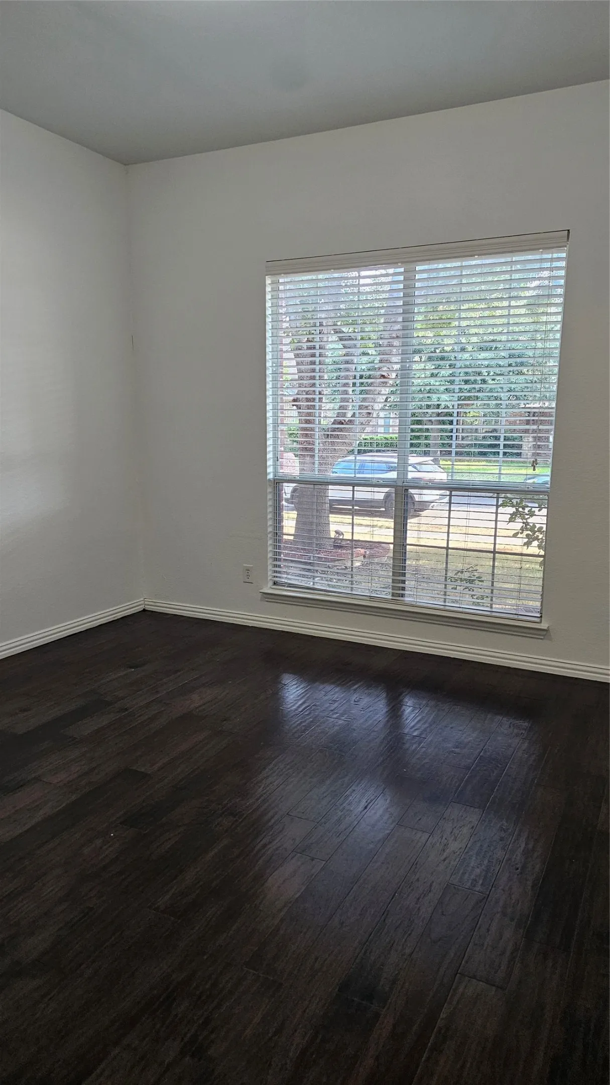 Wood-finish flooring throughout