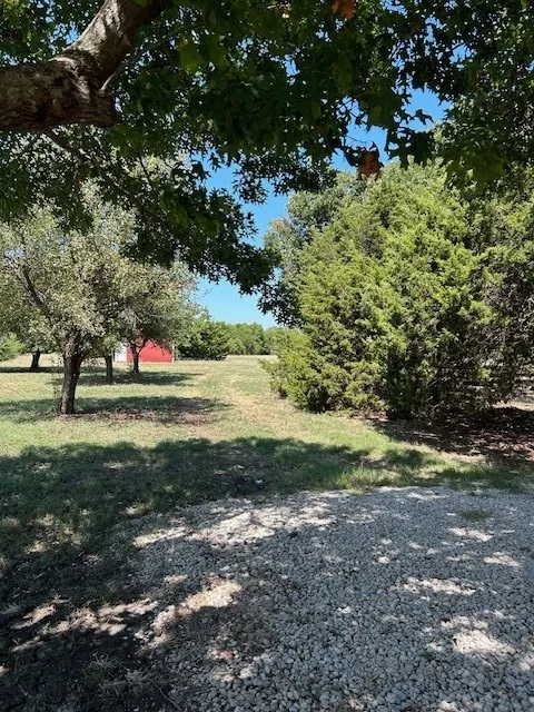 View of grassy yard