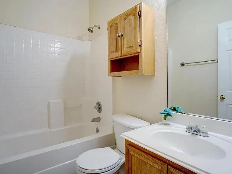 Bathroom View