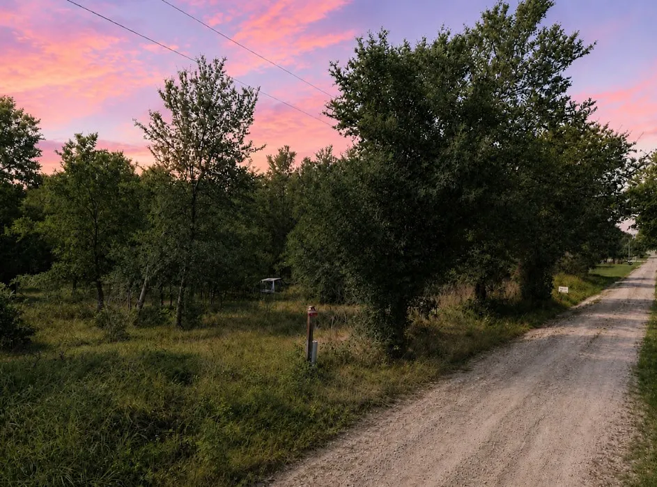 Unimproved Land For Sale in Navarro County , 9026 NE County road 2140 2140, Kerens, Texas 75144, 0, 0, Garage spaces, 0 Sqft, built in 0, Price $95,000, mls#21314904, Real Estate Agent in Kerens, Homes For Sale in Navarro county, Homes For Sale in Kerens, Realtor in Kerens Texas, Real Estate Brokerage Independent Realty Texas, Luminita Cordes Realtor
