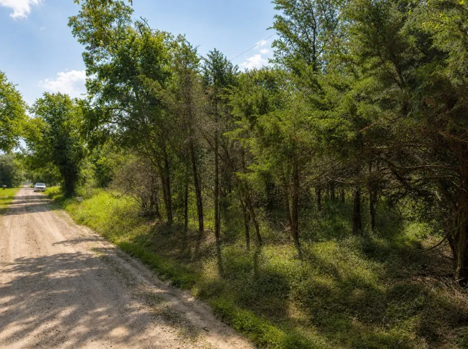 Unimproved Land For Sale in Navarro County , 9026 NE County road 2140 2140, Kerens, Texas 75144, 0, 0, Garage spaces, 0 Sqft, built in 0, Price $95,000, mls#21314904, Real Estate Agent in Kerens, Homes For Sale in Navarro county, Homes For Sale in Kerens, Realtor in Kerens Texas, Real Estate Brokerage Independent Realty Texas, Luminita Cordes Realtor
