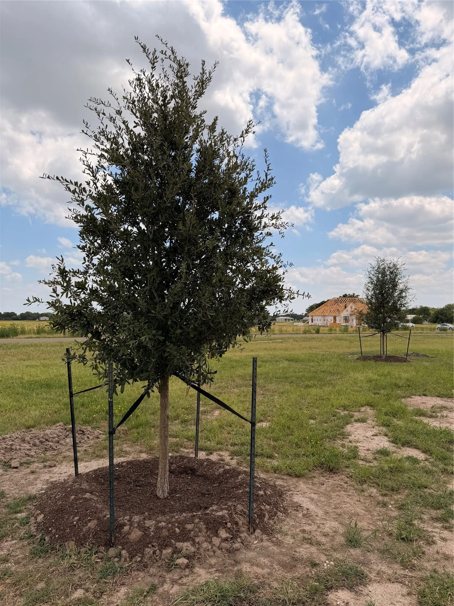 Single Family Residence For Sale in Mc Lennan County , 495 High Meadow, Elm Mott, Texas 76640, 4 Bedroom, 3 Bathroom, 2 Garage spaces, 2,405 Sqft, built in 2026, mls#21314876, Real Estate Agent in Elm Mott, Homes For Sale in Mc Lennan county, Homes For Sale in Elm Mott, Realtor in Elm Mott Texas, Real Estate Brokerage Independent Realty Texas, Luminita Cordes Realtor