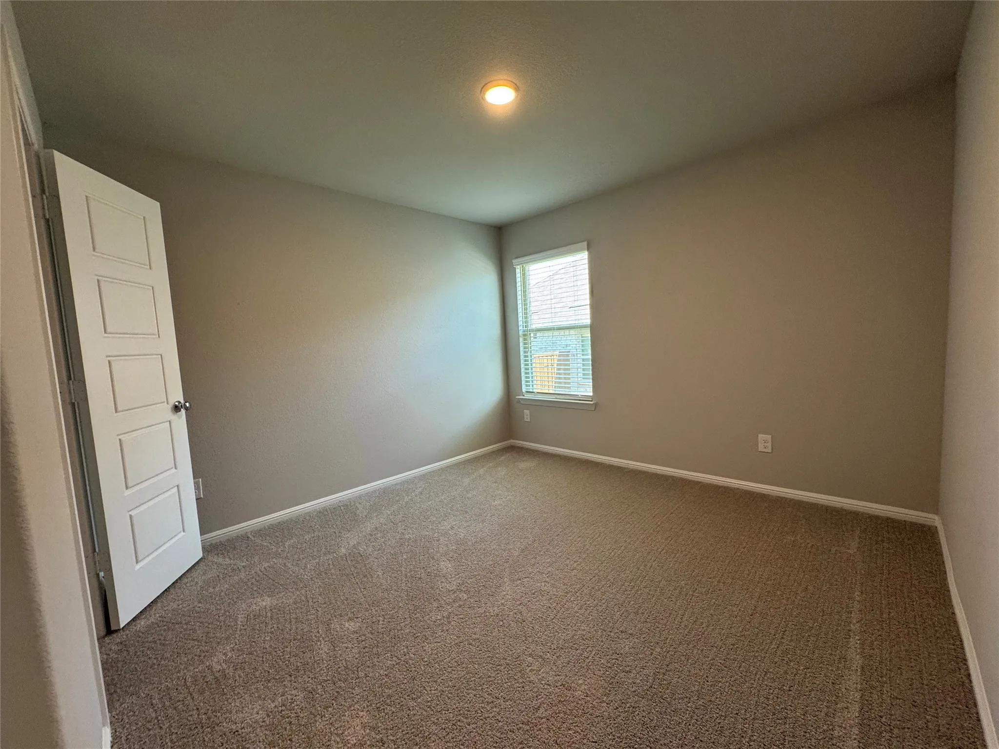 Neutral-toned wall paint and textured carpet flooring