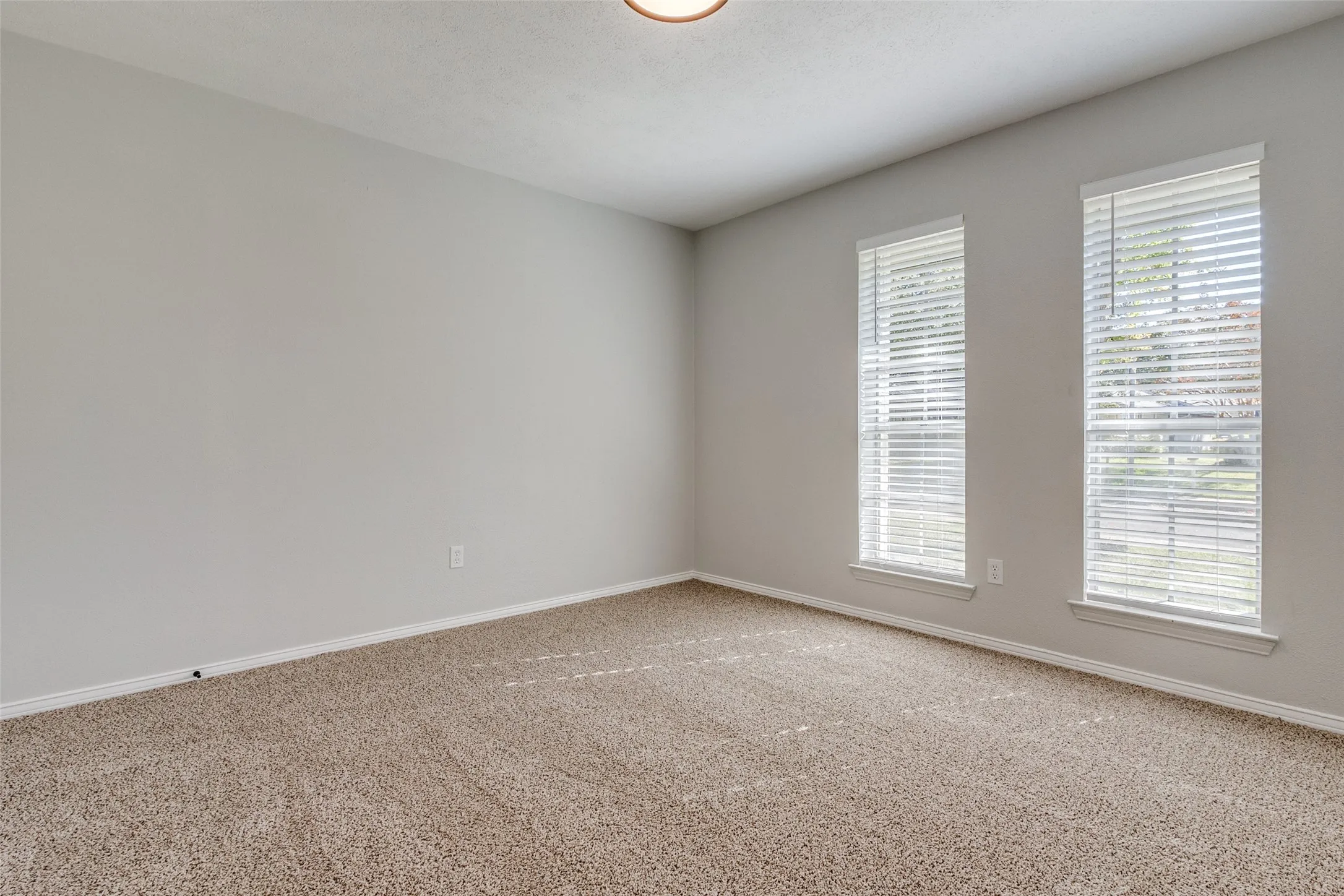 Neutral-toned carpeting and light gray walls define this room, featuring two windows with horizontal blinds