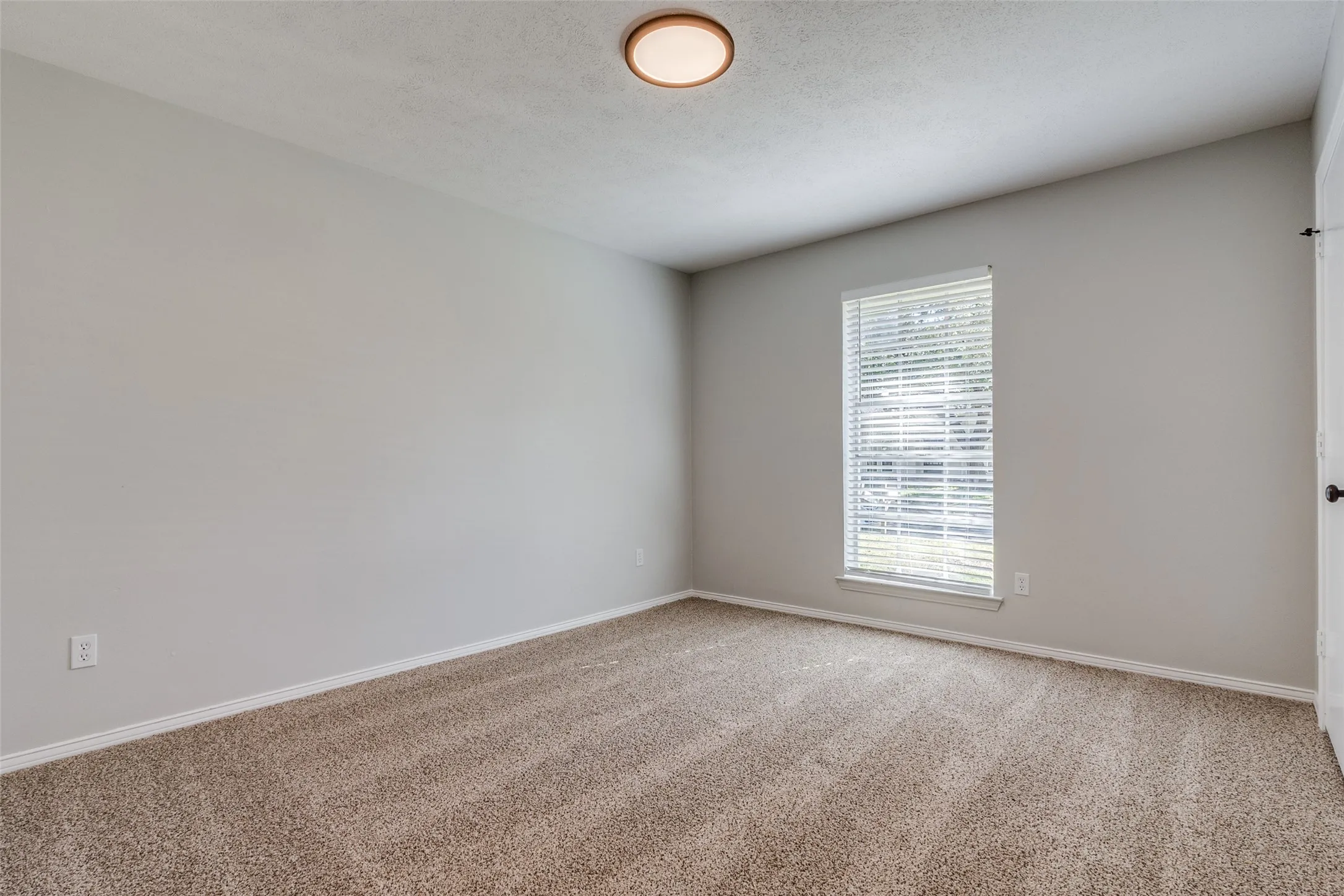 Carpeted room featuring a single window with blinds, a flat ceiling with a flush-mount light fixture, and light-colored walls