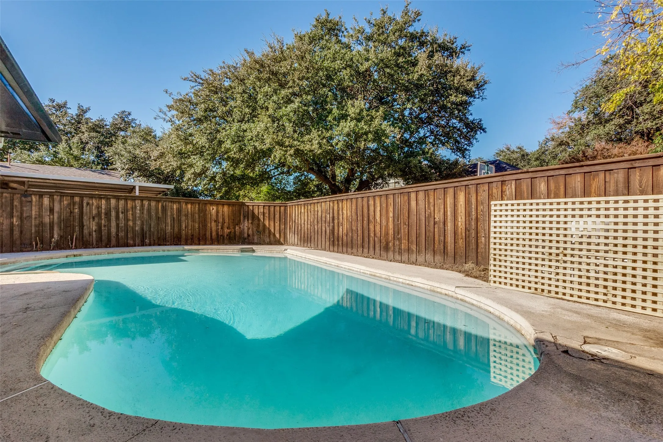 Outdoor swimming pool with concrete decking, surrounded by a wood privacy fence and mature trees