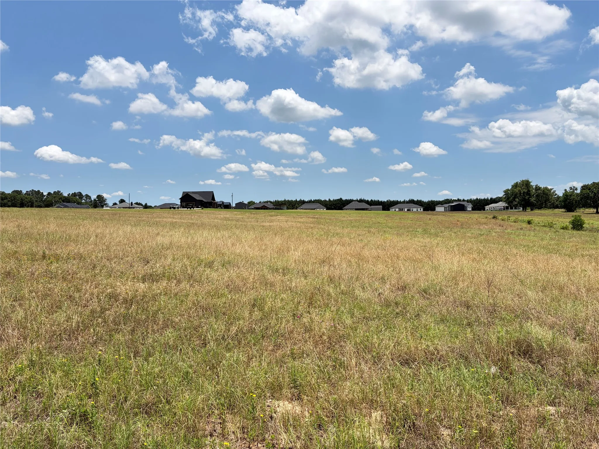 Improved Land For Sale in Henderson County , LOT 6 CR 4507, Athens, Texas 75752, 0, 0, Garage spaces, 0 Sqft, built in 0, mls#21315010, Real Estate Agent in Athens, Homes For Sale in Henderson county, Homes For Sale in Athens, Realtor in Athens Texas, Real Estate Brokerage Independent Realty Texas, Luminita Cordes Realtor