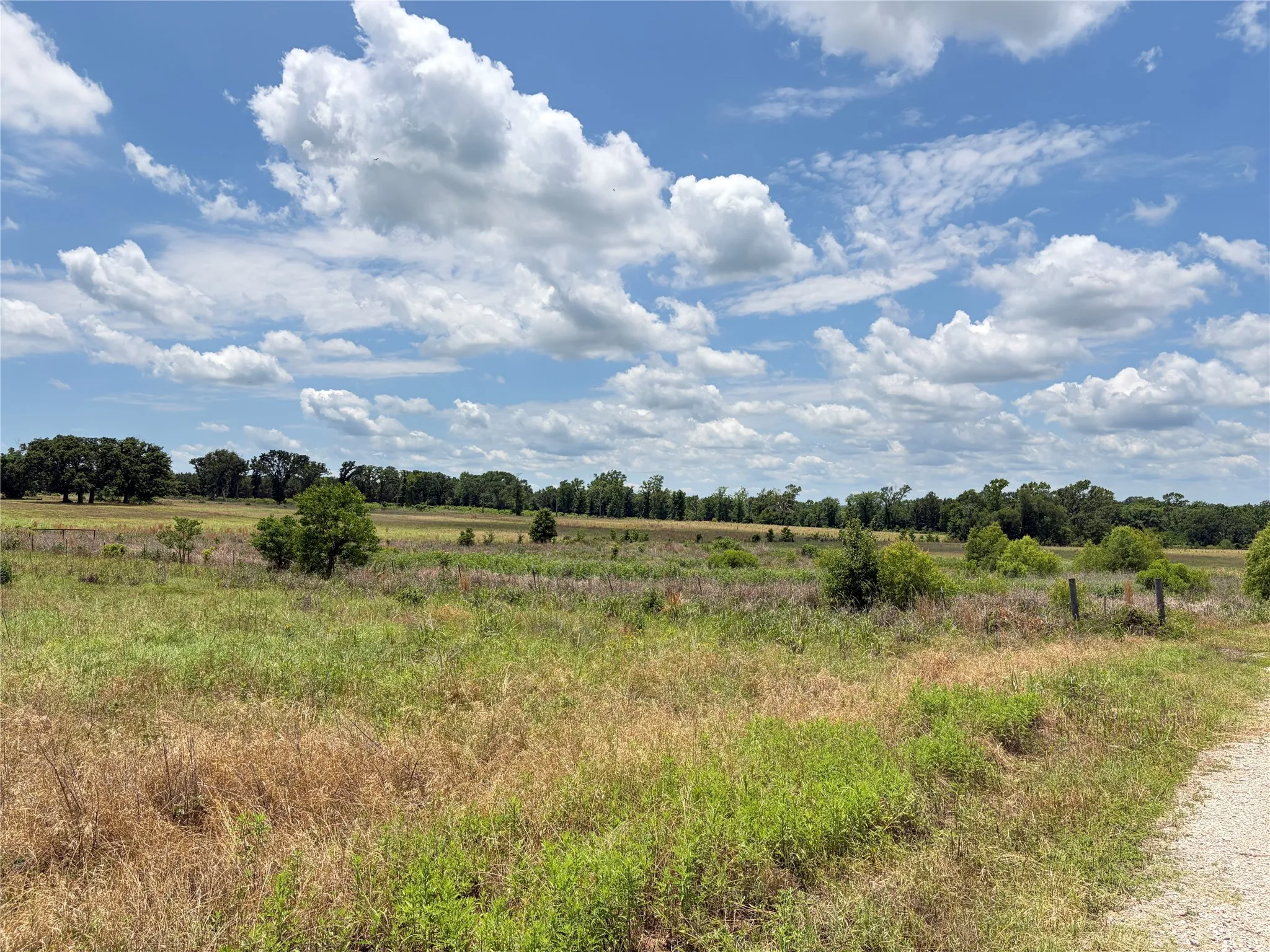 Improved Land For Sale in Henderson County , LOT 6 CR 4507, Athens, Texas 75752, 0, 0, Garage spaces, 0 Sqft, built in 0, mls#21315010, Real Estate Agent in Athens, Homes For Sale in Henderson county, Homes For Sale in Athens, Realtor in Athens Texas, Real Estate Brokerage Independent Realty Texas, Luminita Cordes Realtor