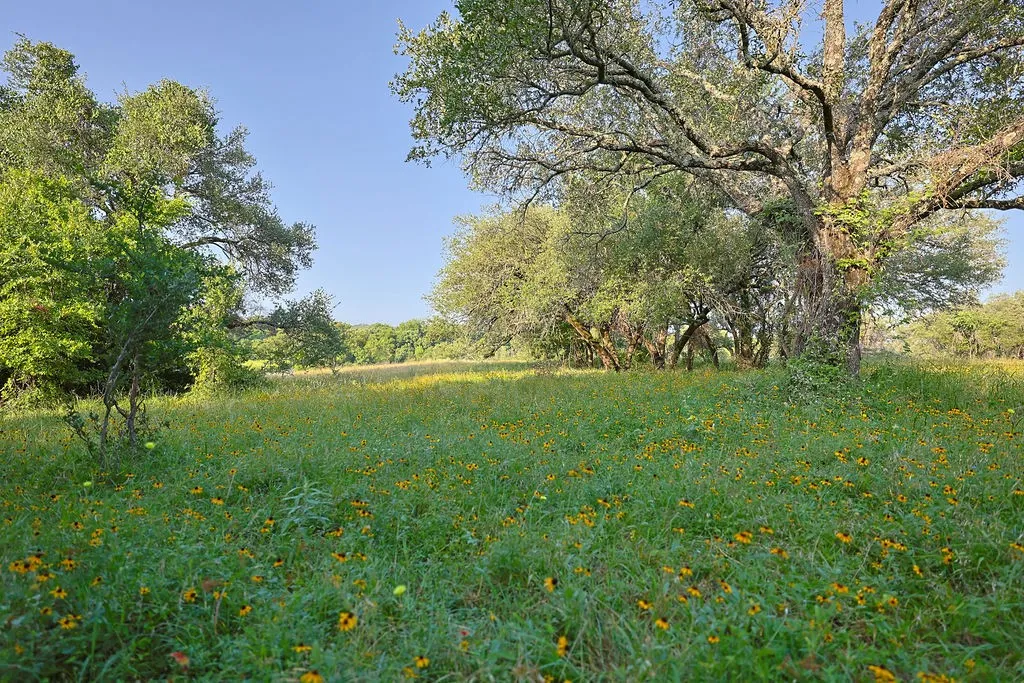 Unimproved Land For Sale in Palo Pinto County , 15 Waterwood Loop, Mineral Wells, Texas 76067, 0, 0, Garage spaces, 0 Sqft, built in 0, mls#21314901, Real Estate Agent in Mineral Wells, Homes For Sale in Palo Pinto county, Homes For Sale in Mineral Wells, Realtor in Mineral Wells Texas, Real Estate Brokerage Independent Realty Texas, Luminita Cordes Realtor