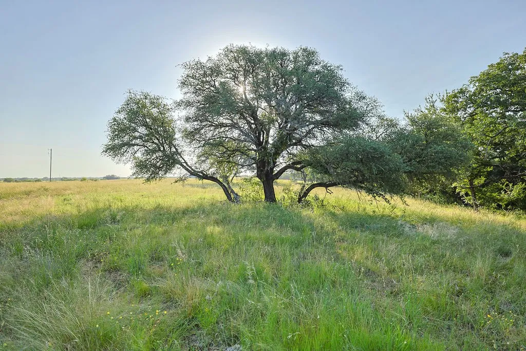 Unimproved Land For Sale in Palo Pinto County , 15 Waterwood Loop, Mineral Wells, Texas 76067, 0, 0, Garage spaces, 0 Sqft, built in 0, mls#21314901, Real Estate Agent in Mineral Wells, Homes For Sale in Palo Pinto county, Homes For Sale in Mineral Wells, Realtor in Mineral Wells Texas, Real Estate Brokerage Independent Realty Texas, Luminita Cordes Realtor