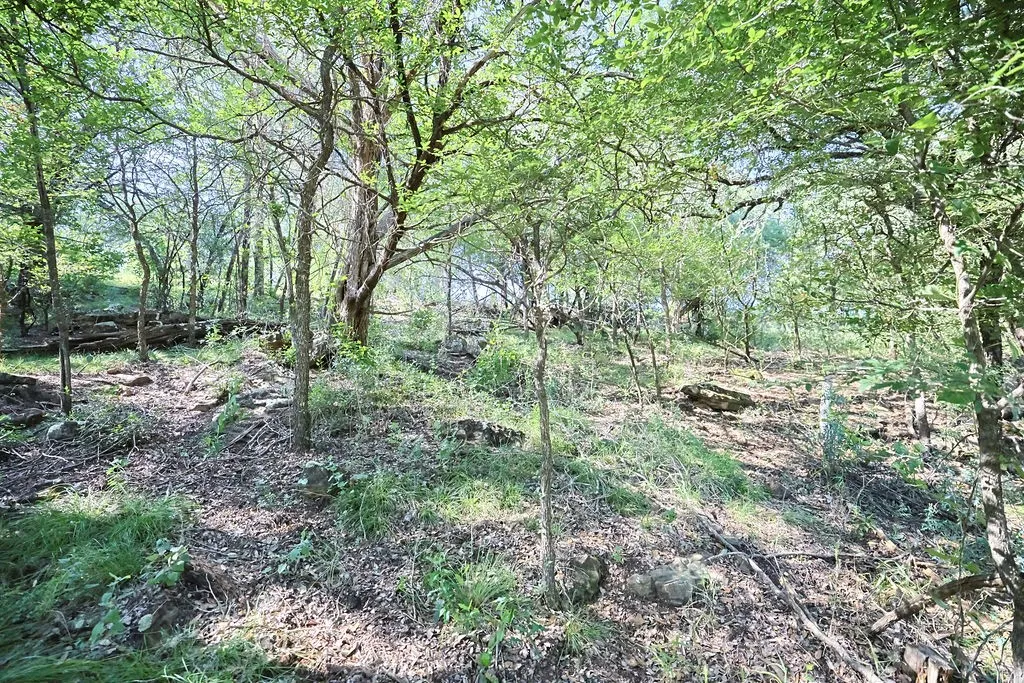 Unimproved Land For Sale in Palo Pinto County , 15 Waterwood Loop, Mineral Wells, Texas 76067, 0, 0, Garage spaces, 0 Sqft, built in 0, mls#21314901, Real Estate Agent in Mineral Wells, Homes For Sale in Palo Pinto county, Homes For Sale in Mineral Wells, Realtor in Mineral Wells Texas, Real Estate Brokerage Independent Realty Texas, Luminita Cordes Realtor