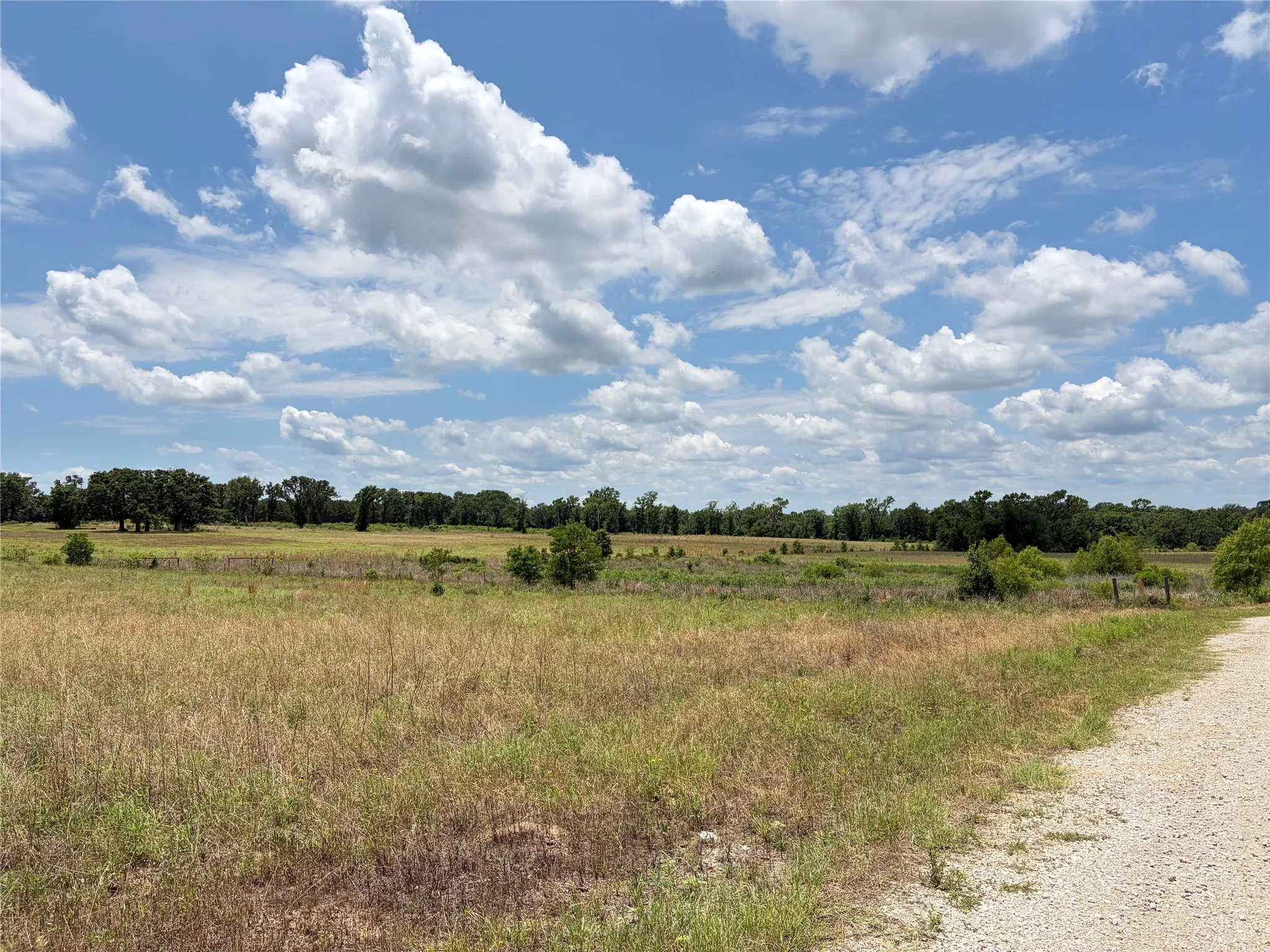 Improved Land For Sale in Henderson County , LOT 7 CR 4507, Athens, Texas 75752, 0, 0, Garage spaces, 0 Sqft, built in 0, Price $60,000, mls#21315011, Real Estate Agent in Athens, Homes For Sale in Henderson county, Homes For Sale in Athens, Realtor in Athens Texas, Real Estate Brokerage Independent Realty Texas, Luminita Cordes Realtor