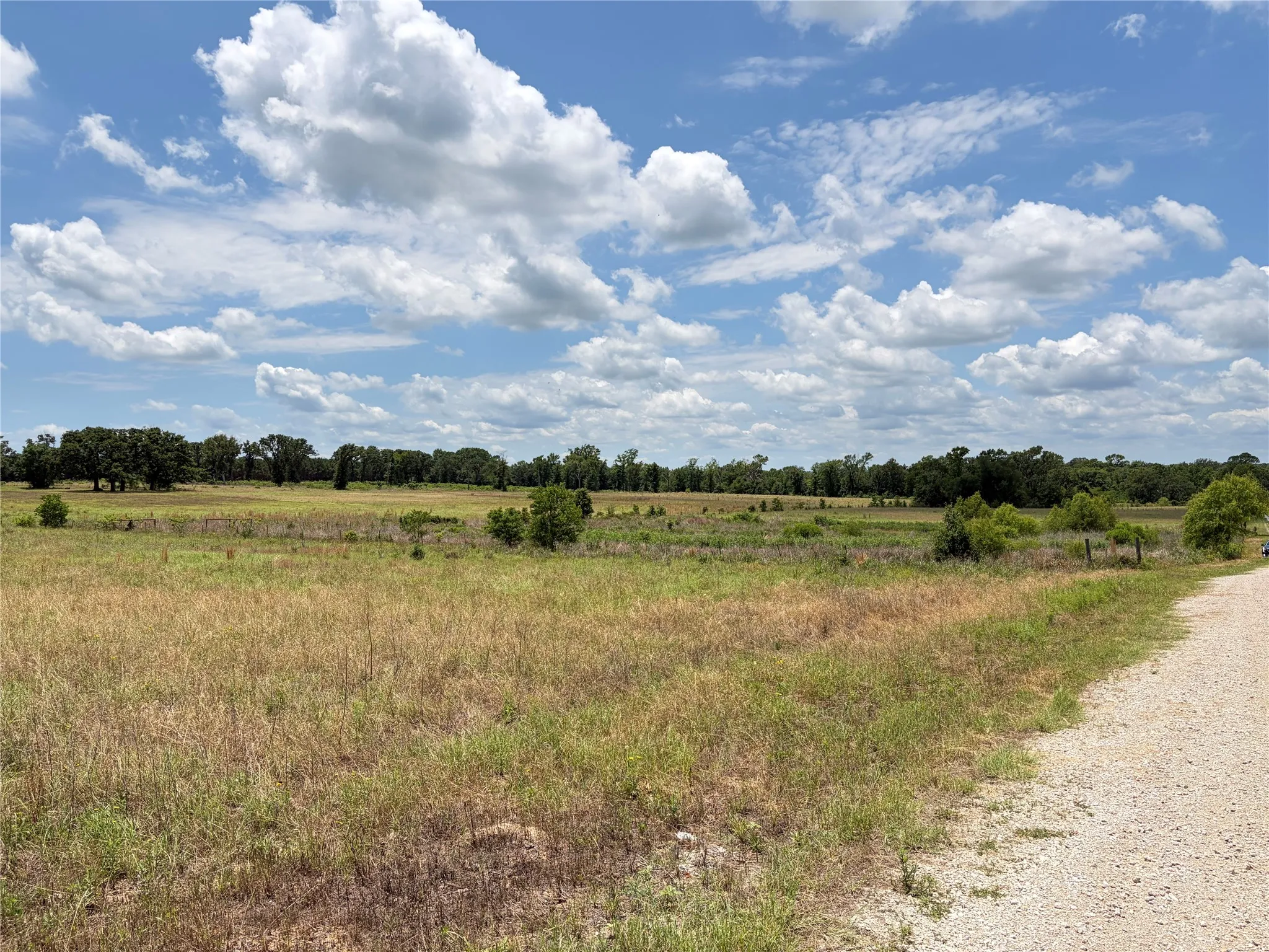 Improved Land For Sale in Henderson County , LOT 8 CR 4507, Athens, Texas 75752, 0, 0, Garage spaces, 0 Sqft, built in 0, Price $60,000, mls#21315016, Real Estate Agent in Athens, Homes For Sale in Henderson county, Homes For Sale in Athens, Realtor in Athens Texas, Real Estate Brokerage Independent Realty Texas, Luminita Cordes Realtor