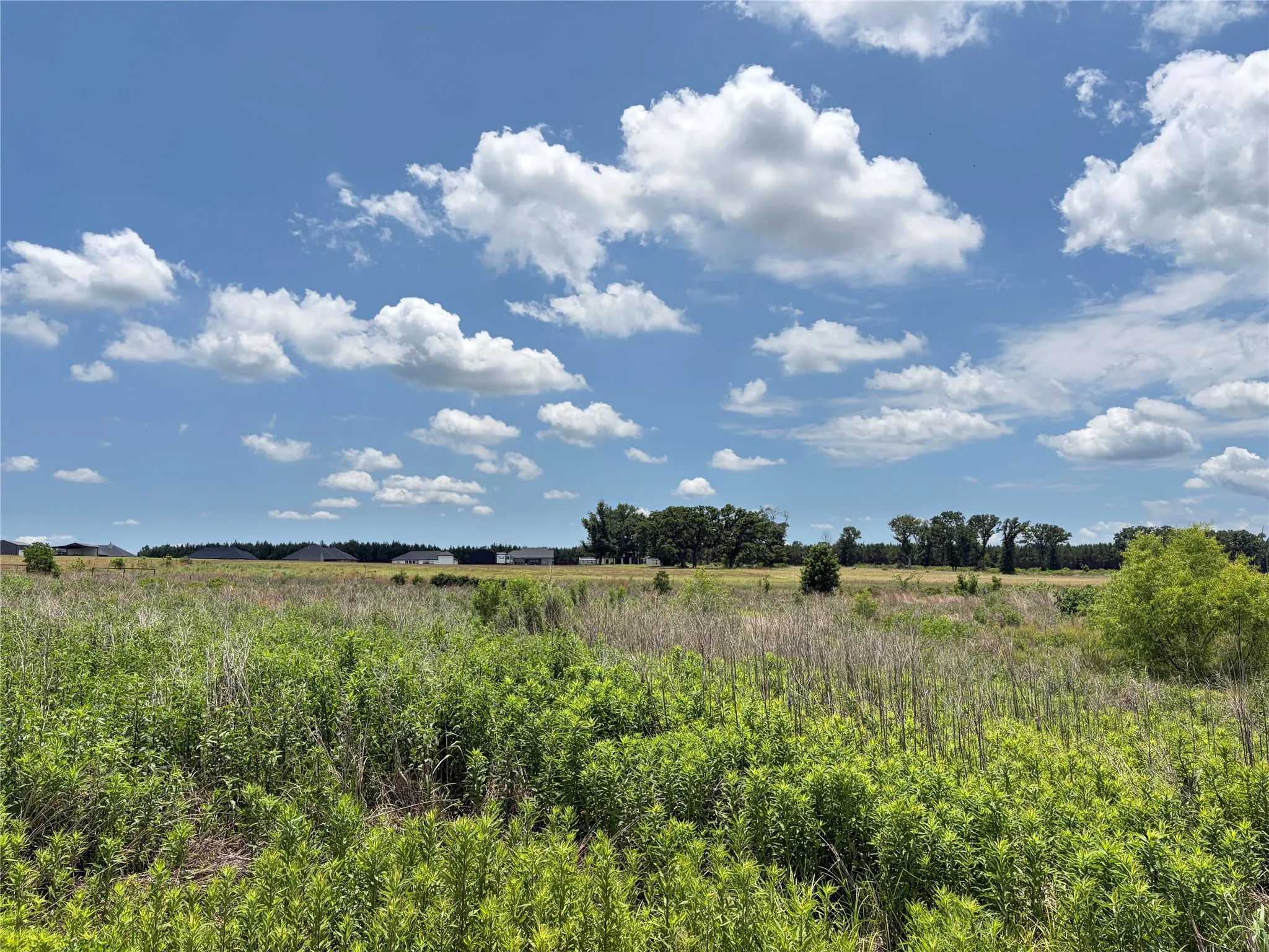 Improved Land For Sale in Henderson County , LOT 9 CR 4507, Athens, Texas 75752, 0, 0, Garage spaces, 0 Sqft, built in 0, Price $60,000, mls#21315017, Real Estate Agent in Athens, Homes For Sale in Henderson county, Homes For Sale in Athens, Realtor in Athens Texas, Real Estate Brokerage Independent Realty Texas, Luminita Cordes Realtor