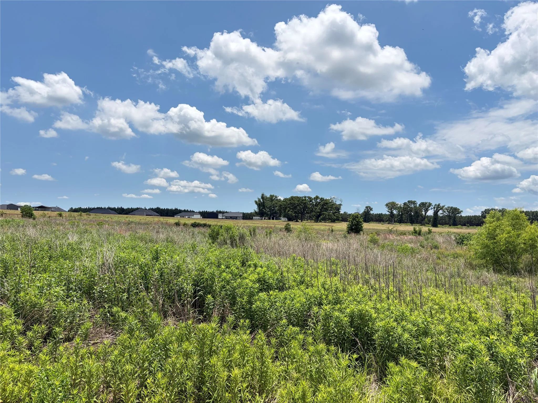 Improved Land For Sale in Henderson County , LOT 10 CR 4507, Athens, Texas 75752, 0, 0, Garage spaces, 0 Sqft, built in 0, Price $60,000, mls#21315019, Real Estate Agent in Athens, Homes For Sale in Henderson county, Homes For Sale in Athens, Realtor in Athens Texas, Real Estate Brokerage Independent Realty Texas, Luminita Cordes Realtor