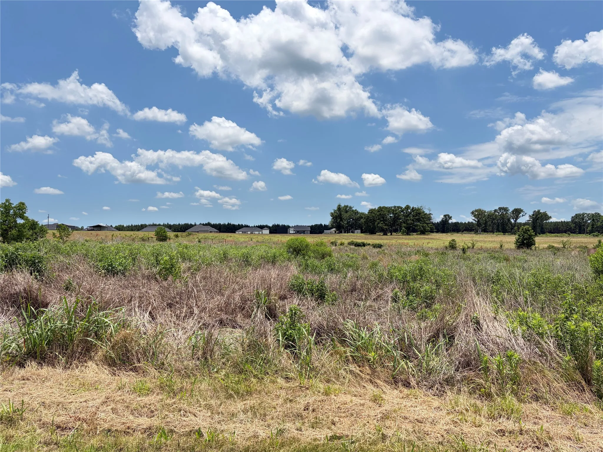 Improved Land For Sale in Henderson County , LOT 12 CR 4507, Athens, Texas 75752, 0, 0, Garage spaces, 0 Sqft, built in 0, Price $60,000, mls#21315023, Real Estate Agent in Athens, Homes For Sale in Henderson county, Homes For Sale in Athens, Realtor in Athens Texas, Real Estate Brokerage Independent Realty Texas, Luminita Cordes Realtor