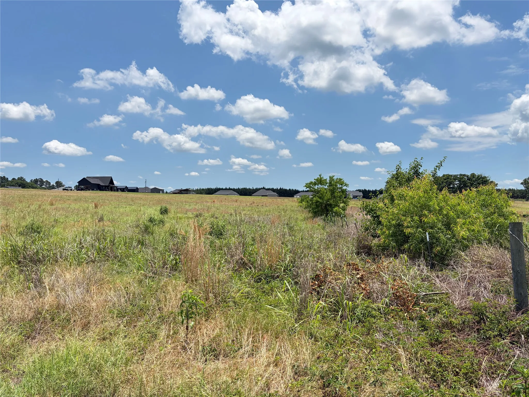 Improved Land For Sale in Henderson County , LOT 12 CR 4507, Athens, Texas 75752, 0, 0, Garage spaces, 0 Sqft, built in 0, Price $60,000, mls#21315023, Real Estate Agent in Athens, Homes For Sale in Henderson county, Homes For Sale in Athens, Realtor in Athens Texas, Real Estate Brokerage Independent Realty Texas, Luminita Cordes Realtor