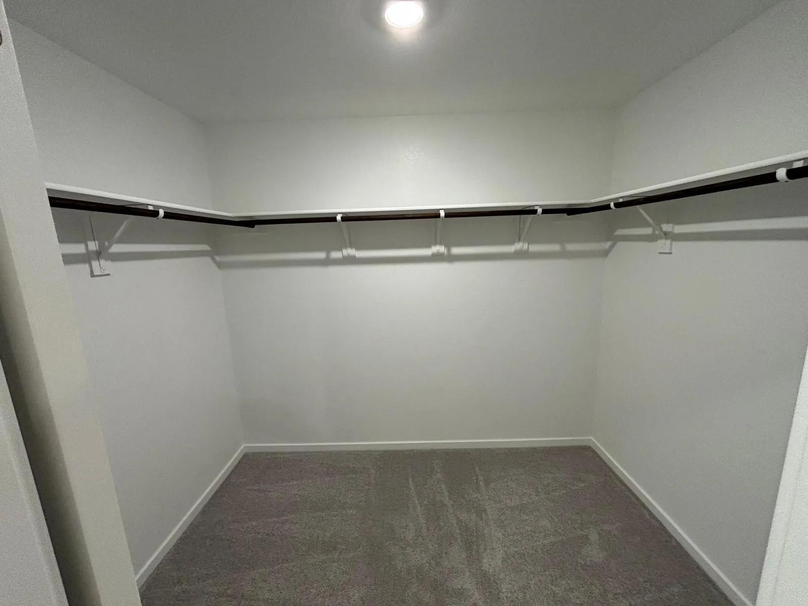 Walk-in closet featuring white walls, gray carpet, and a built-in shelving system with hanging rods