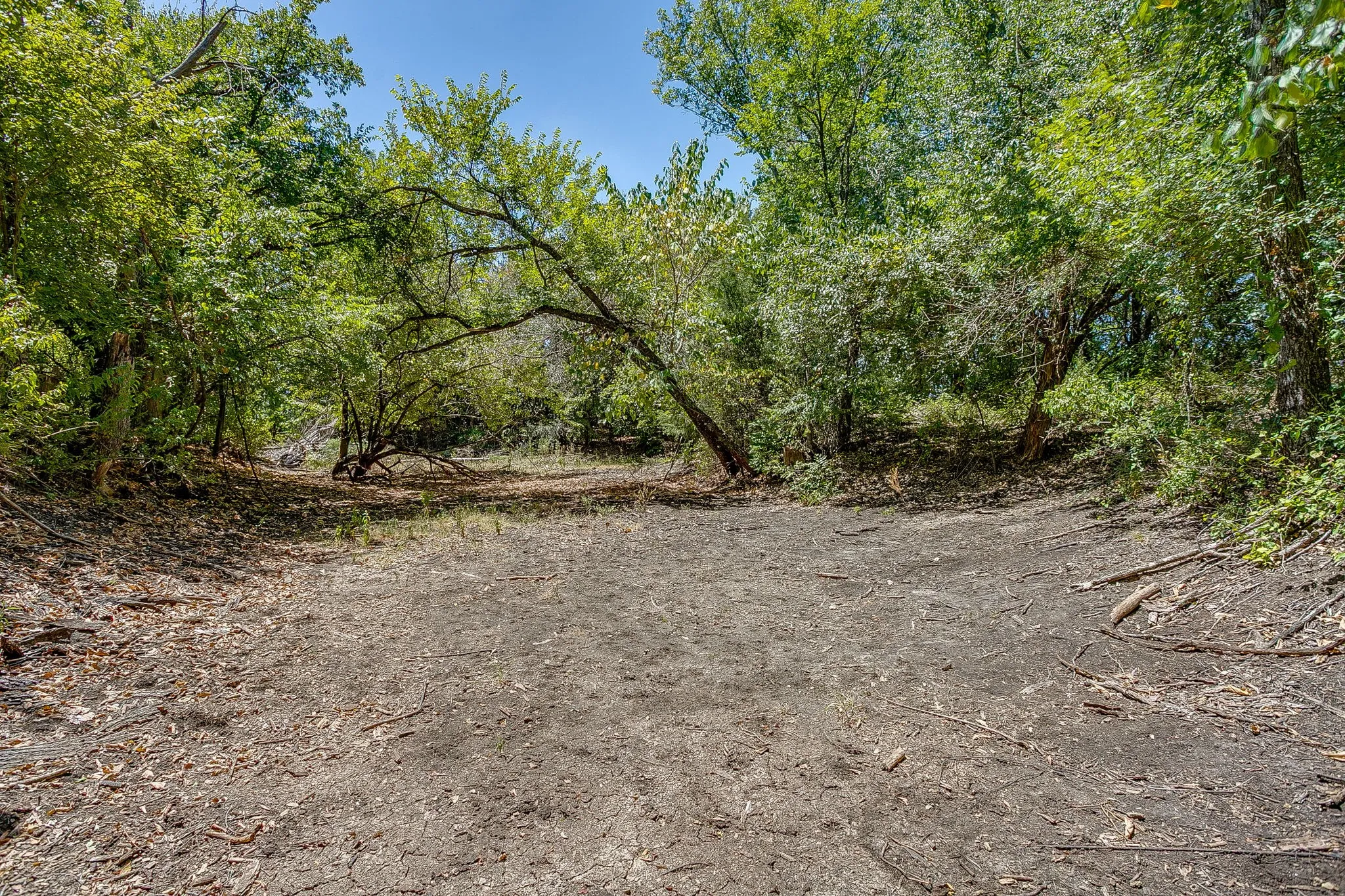 Expansive, undeveloped parcel with a cleared central area, dense perimeter foliage, and mature trees