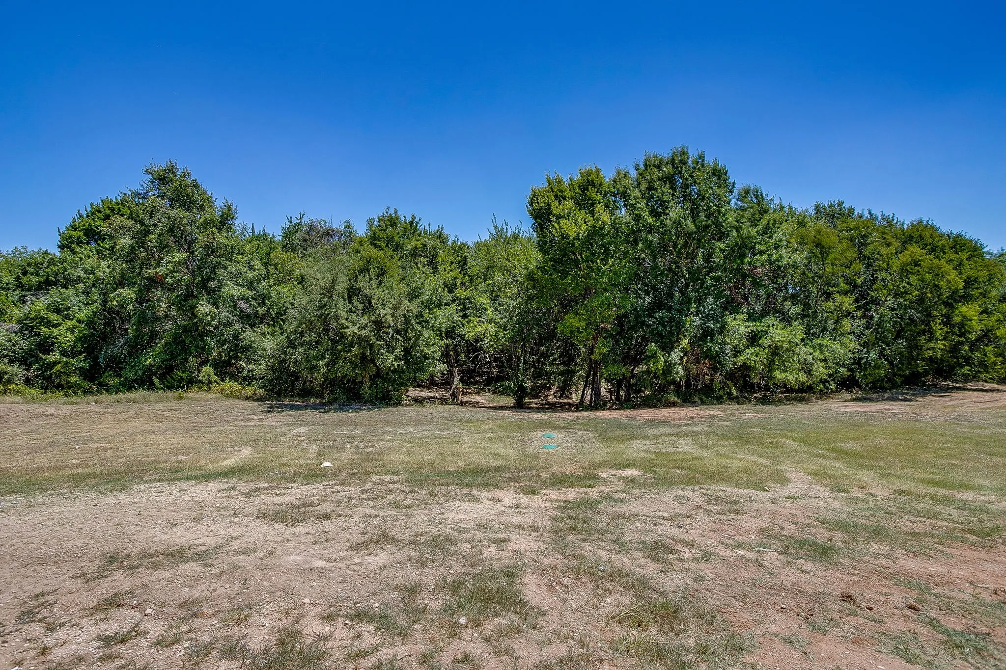 Backyard Extends into the trees