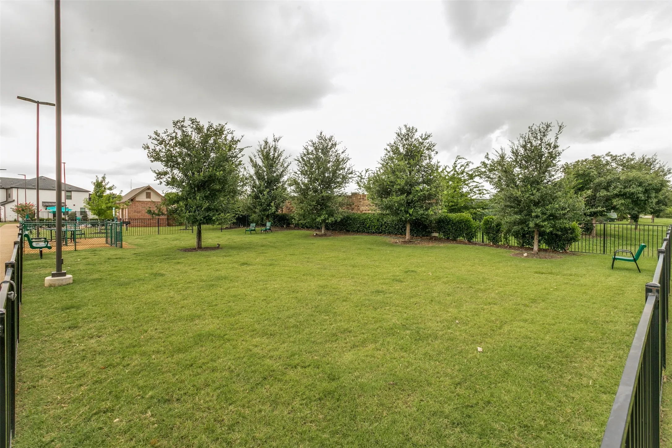 Dog Park