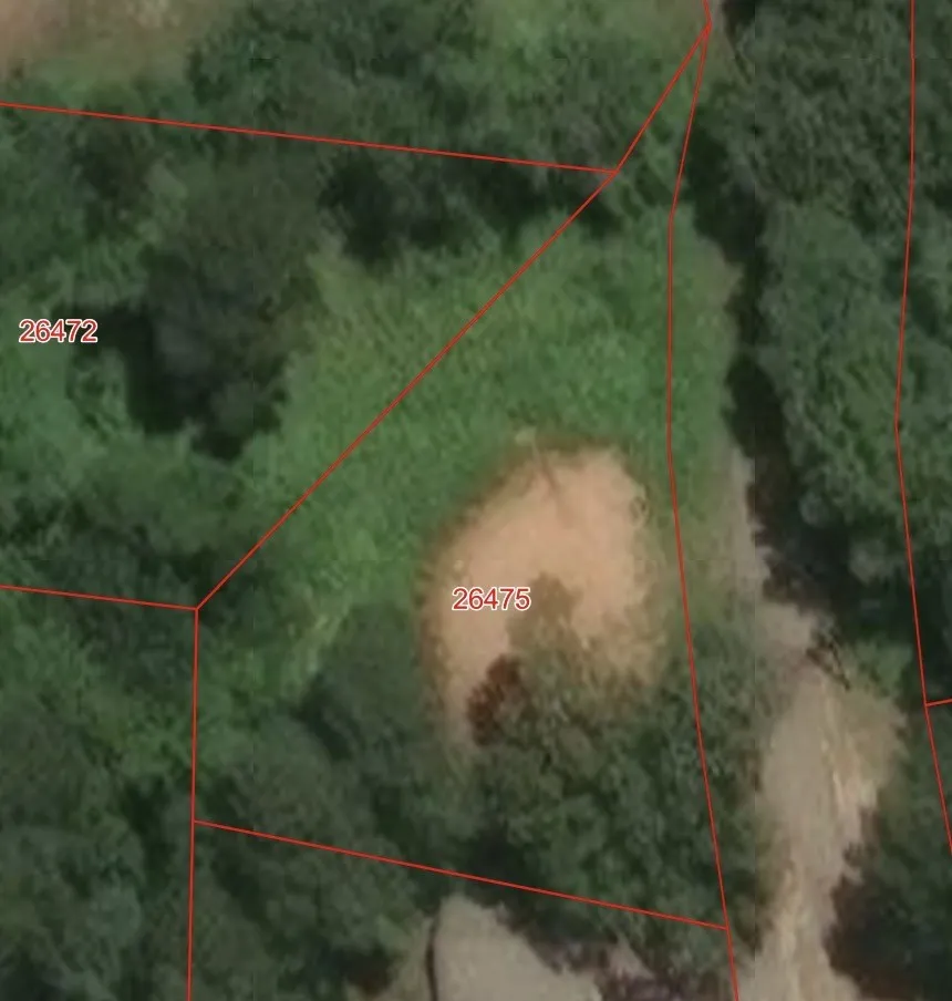 Unimproved Land For Sale in Wood County , 270 County Road 2155, Quitman, Texas 75783, 0, 0, Garage spaces, 0 Sqft, built in 0, mls#21315105, Real Estate Agent in Quitman, Homes For Sale in Wood county, Homes For Sale in Quitman, Realtor in Quitman Texas, Real Estate Brokerage Independent Realty Texas, Luminita Cordes Realtor
