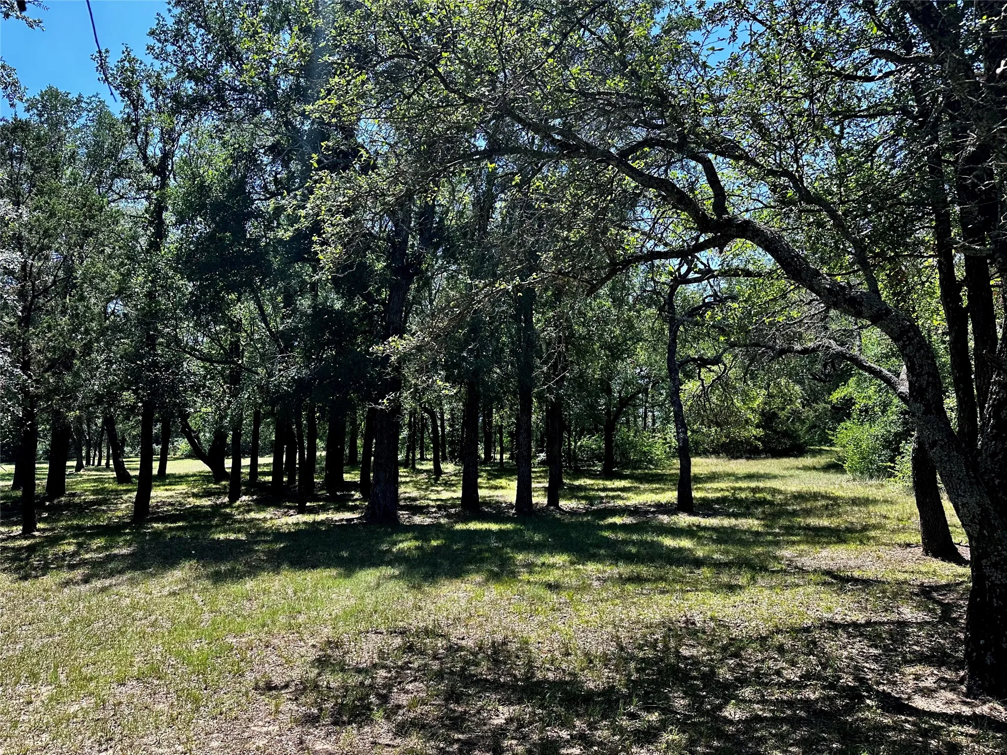 Single Family Residence For Sale in Callahan County , 15541 County Road 409, Cisco, Texas 76437, 3 Bedroom, 2 Bathroom, Garage spaces, 1,772 Sqft, built in 2006, mls#21315121, Real Estate Agent in Cisco, Homes For Sale in Callahan county, Homes For Sale in Cisco, Realtor in Cisco Texas, Real Estate Brokerage Independent Realty Texas, Luminita Cordes Realtor
