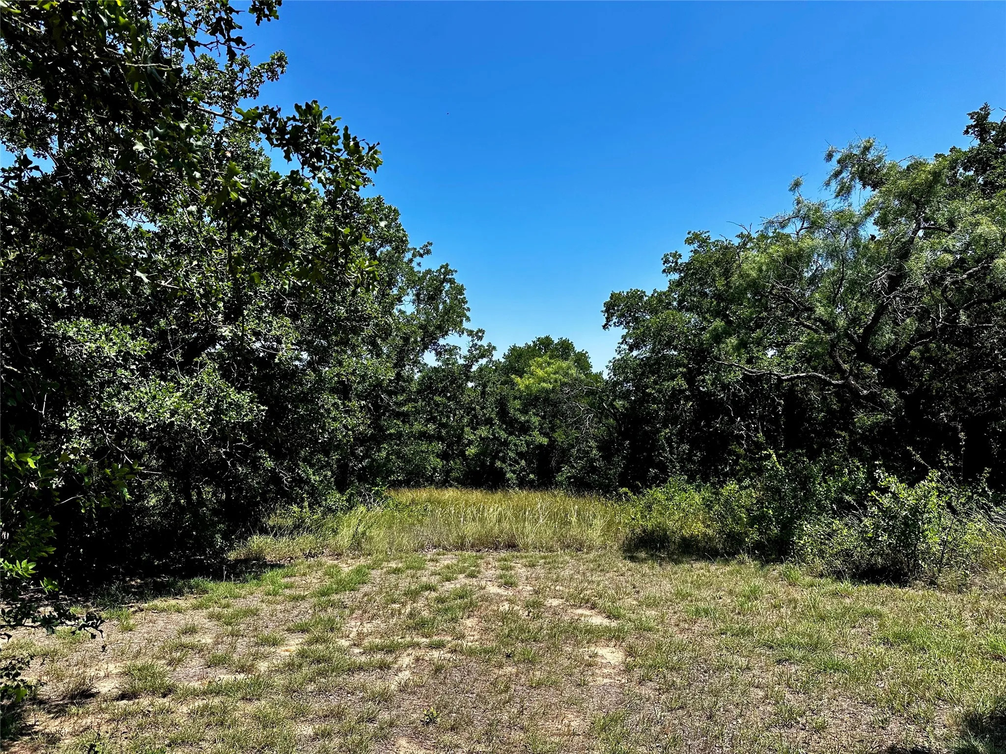 Single Family Residence For Sale in Callahan County , 15541 County Road 409, Cisco, Texas 76437, 3 Bedroom, 2 Bathroom, Garage spaces, 1,772 Sqft, built in 2006, mls#21315121, Real Estate Agent in Cisco, Homes For Sale in Callahan county, Homes For Sale in Cisco, Realtor in Cisco Texas, Real Estate Brokerage Independent Realty Texas, Luminita Cordes Realtor