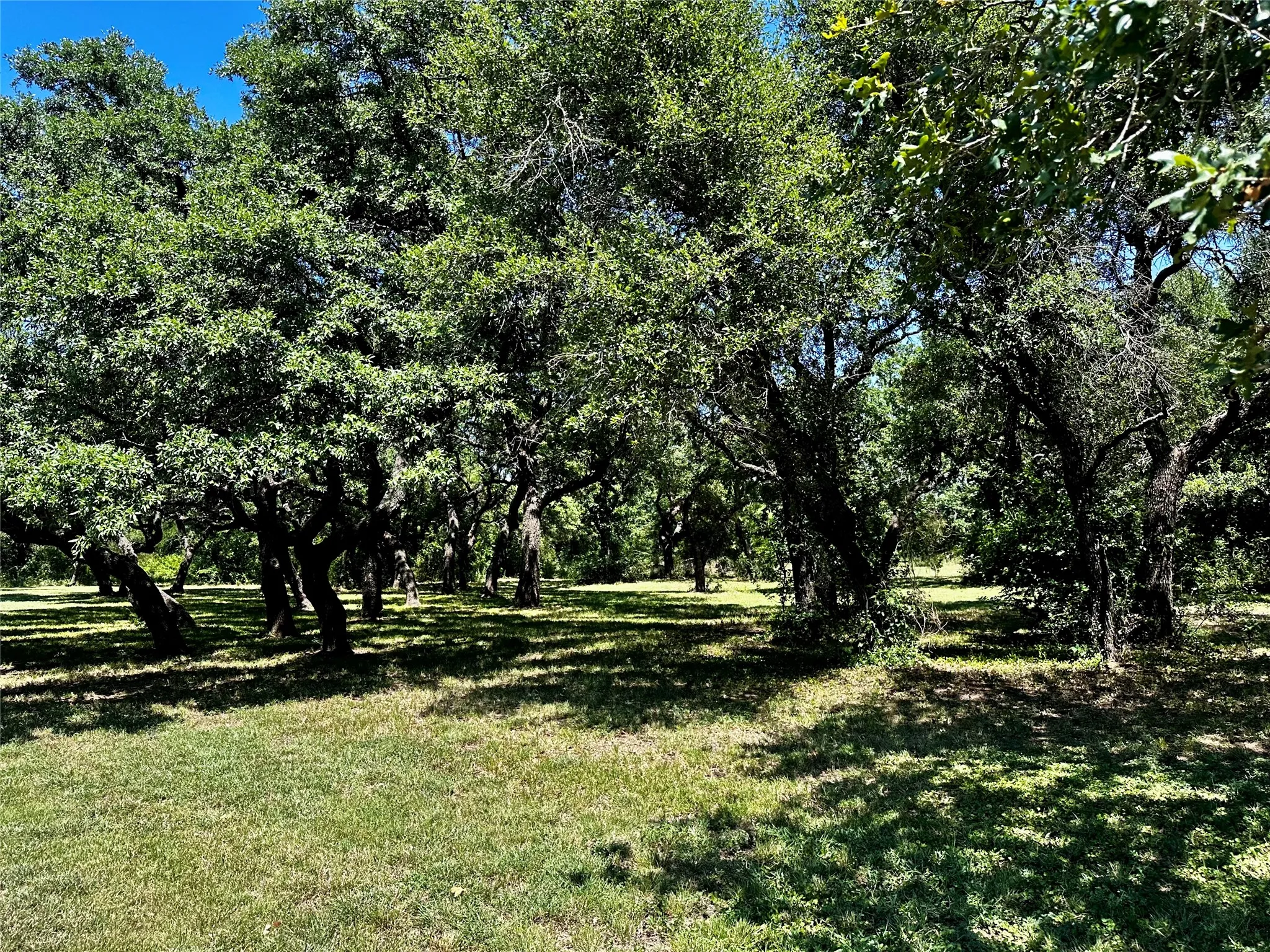Single Family Residence For Sale in Callahan County , 15541 County Road 409, Cisco, Texas 76437, 3 Bedroom, 2 Bathroom, Garage spaces, 1,772 Sqft, built in 2006, mls#21315121, Real Estate Agent in Cisco, Homes For Sale in Callahan county, Homes For Sale in Cisco, Realtor in Cisco Texas, Real Estate Brokerage Independent Realty Texas, Luminita Cordes Realtor