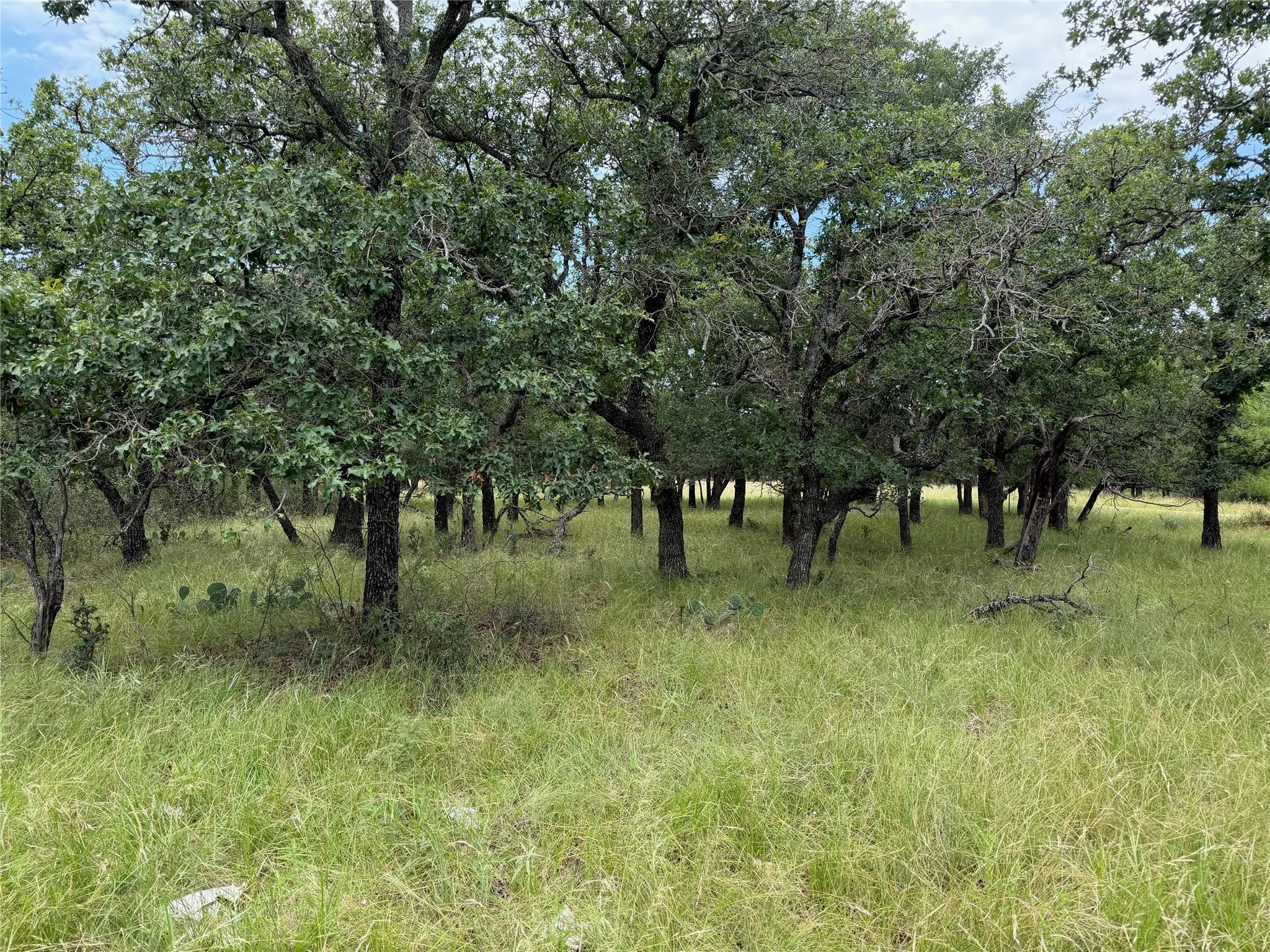 Unimproved Land For Sale in Brown County , 32 Oak Bluff Circle, May, Texas 76857, 0, 0, Garage spaces, 0 Sqft, built in 0, Price $15,000, mls#21315024, Real Estate Agent in May, Homes For Sale in Brown county, Homes For Sale in May, Realtor in May Texas, Real Estate Brokerage Independent Realty Texas, Luminita Cordes Realtor