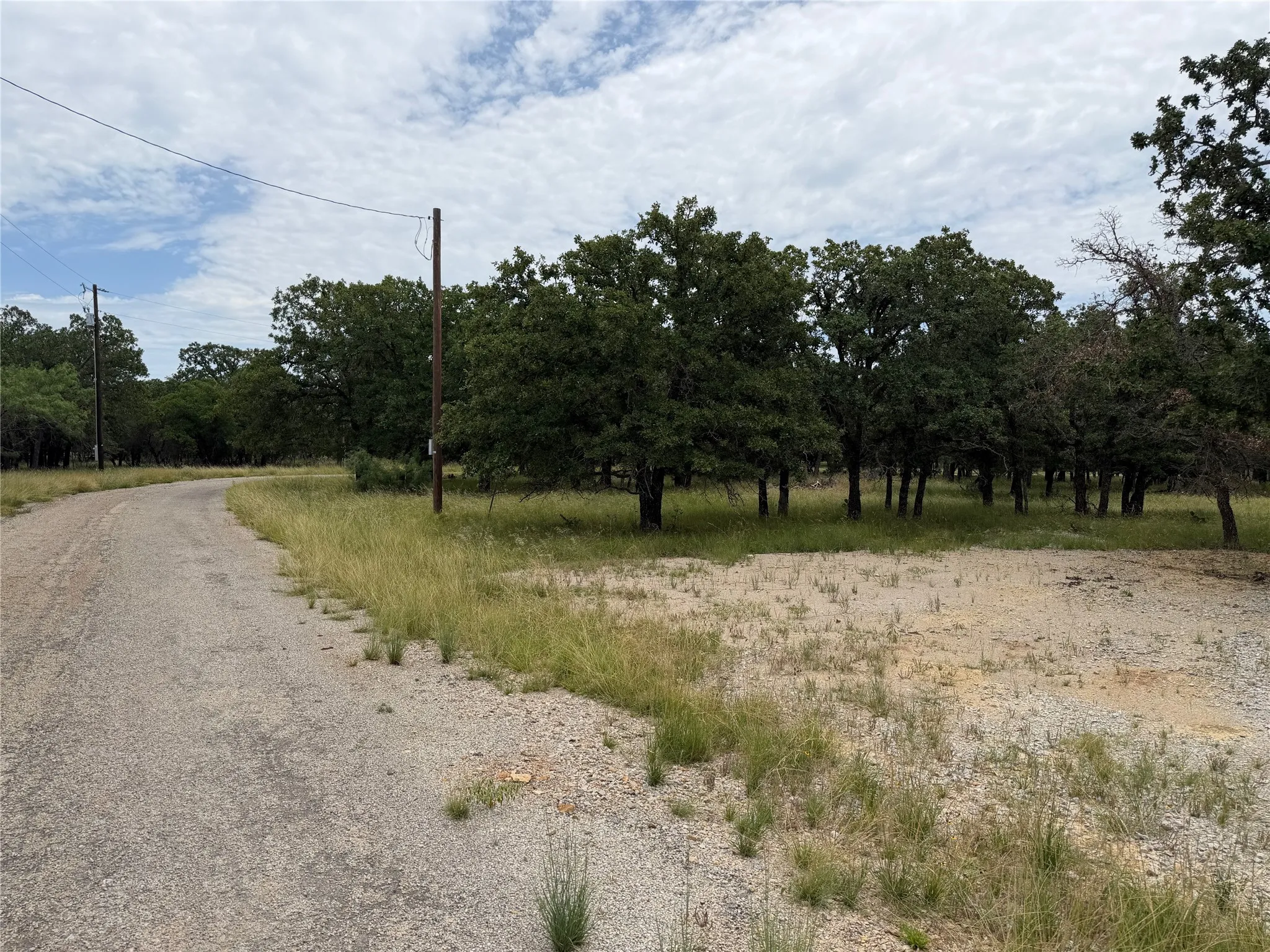 Gravel road bordering a wooded area featuring mature trees and open clearings