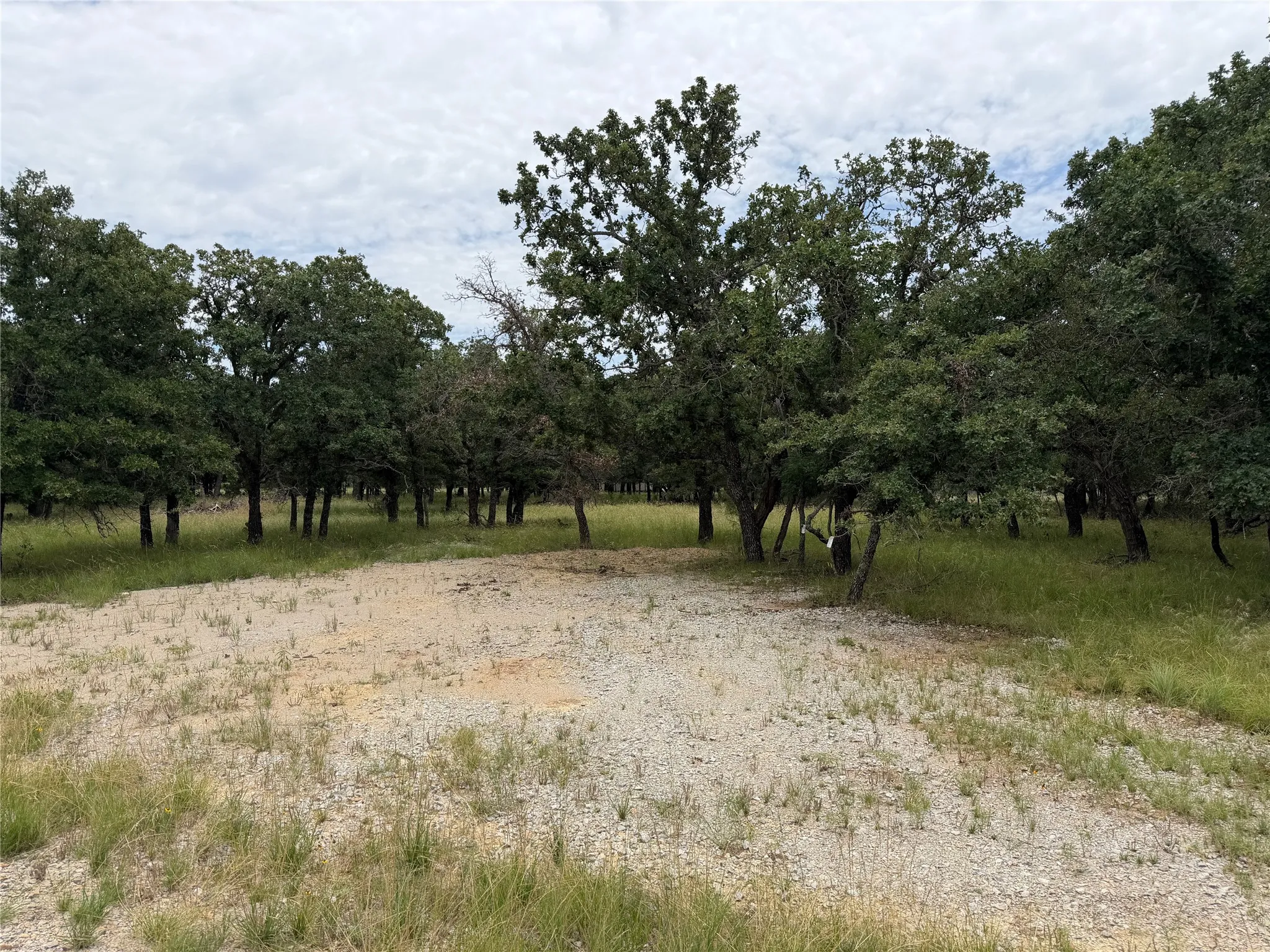 Expansive land parcel featuring a gravel-surfaced area surrounded by mature deciduous trees and natural grass