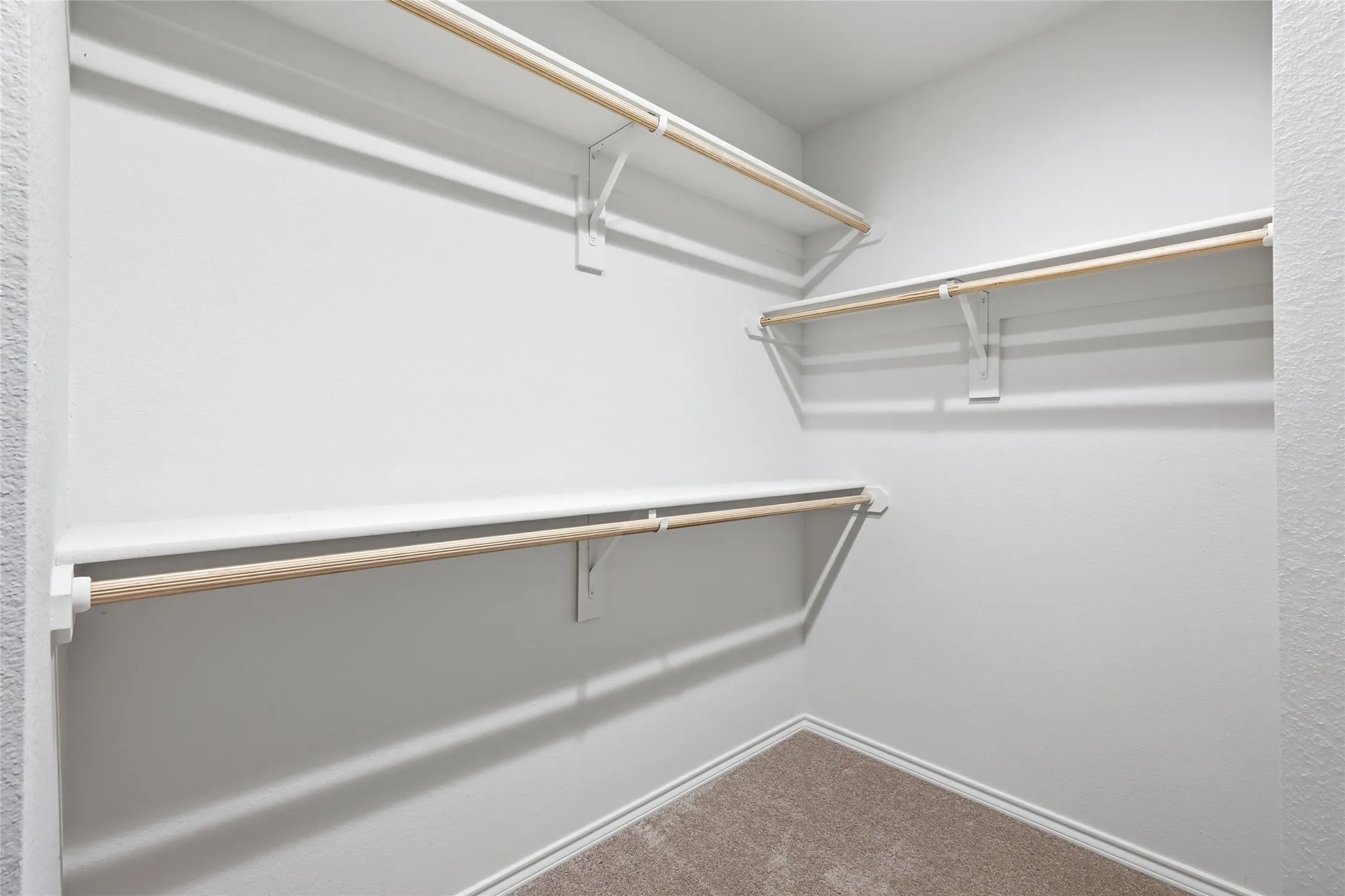 Spacious closet featuring wall-mounted shelving, hanging rods, and neutral-toned carpeting
