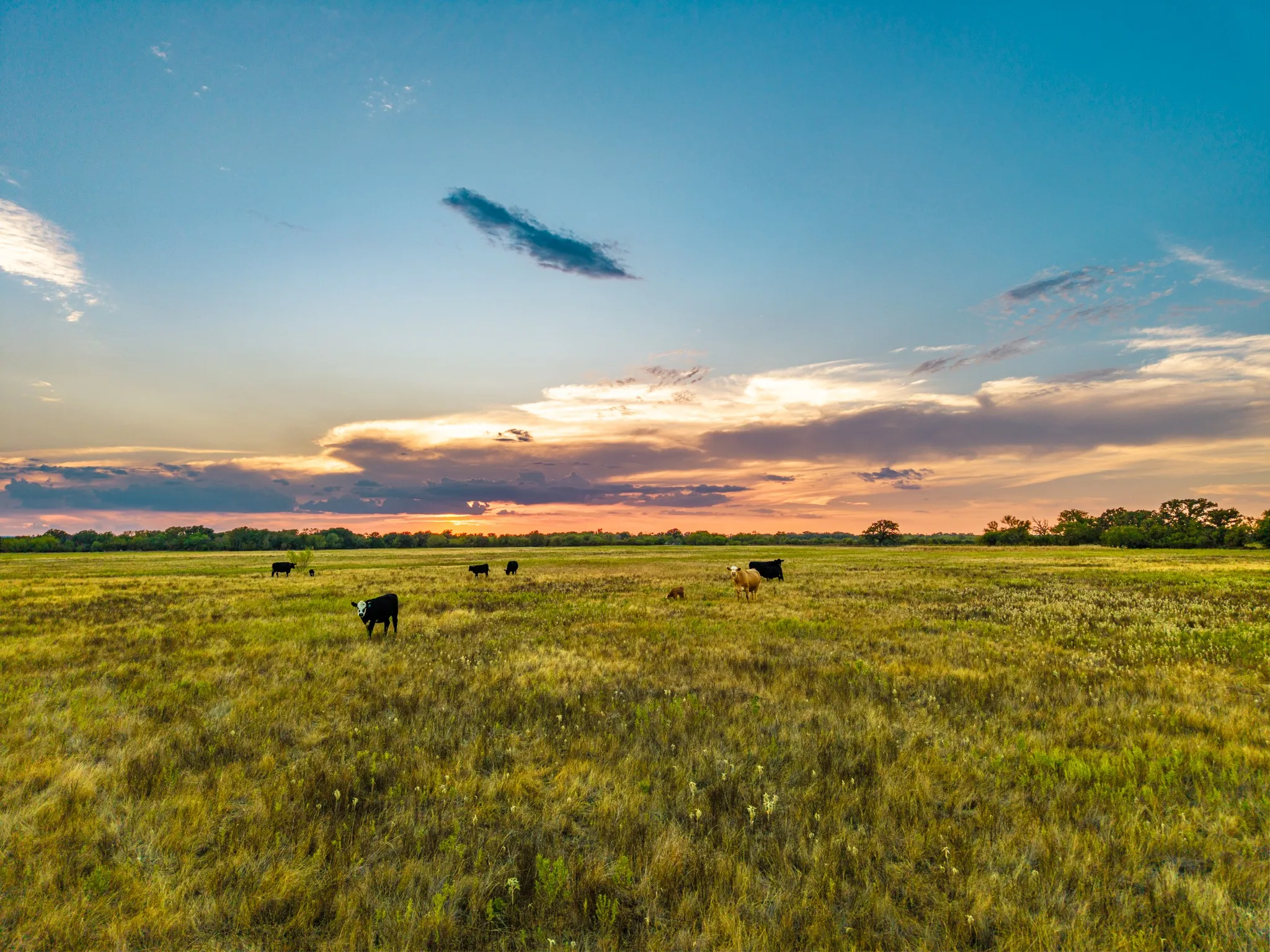 Ranch For Sale in Comanche County , 719 County Road 193, Comanche, Texas 76442, 0, 0, Garage spaces, 0 Sqft, built in 0, mls#21311749, Real Estate Agent in Comanche, Homes For Sale in Comanche county, Homes For Sale in Comanche, Realtor in Comanche Texas, Real Estate Brokerage Independent Realty Texas, Luminita Cordes Realtor