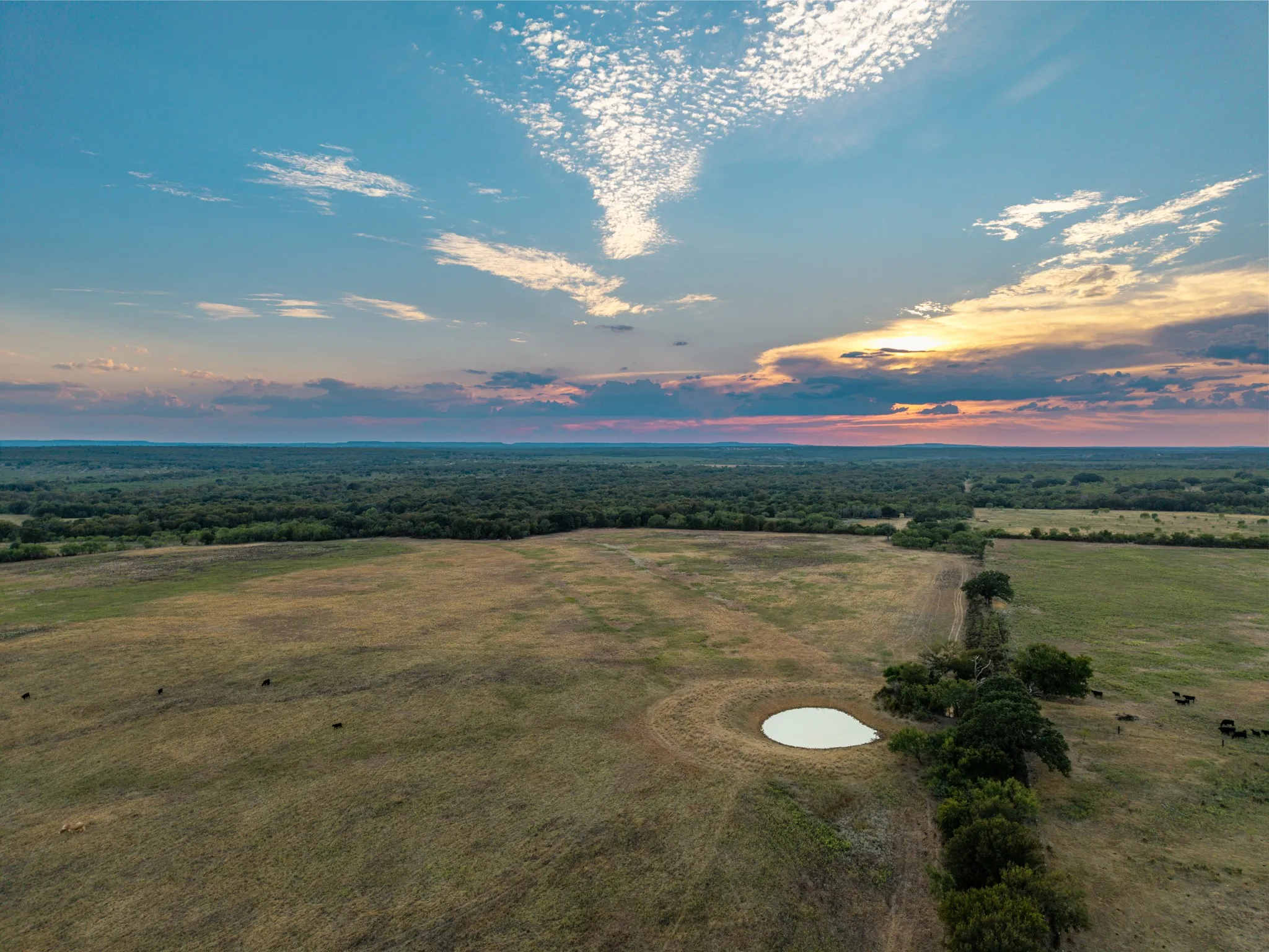 Ranch For Sale in Comanche County , 719 County Road 193, Comanche, Texas 76442, 0, 0, Garage spaces, 0 Sqft, built in 0, mls#21311749, Real Estate Agent in Comanche, Homes For Sale in Comanche county, Homes For Sale in Comanche, Realtor in Comanche Texas, Real Estate Brokerage Independent Realty Texas, Luminita Cordes Realtor