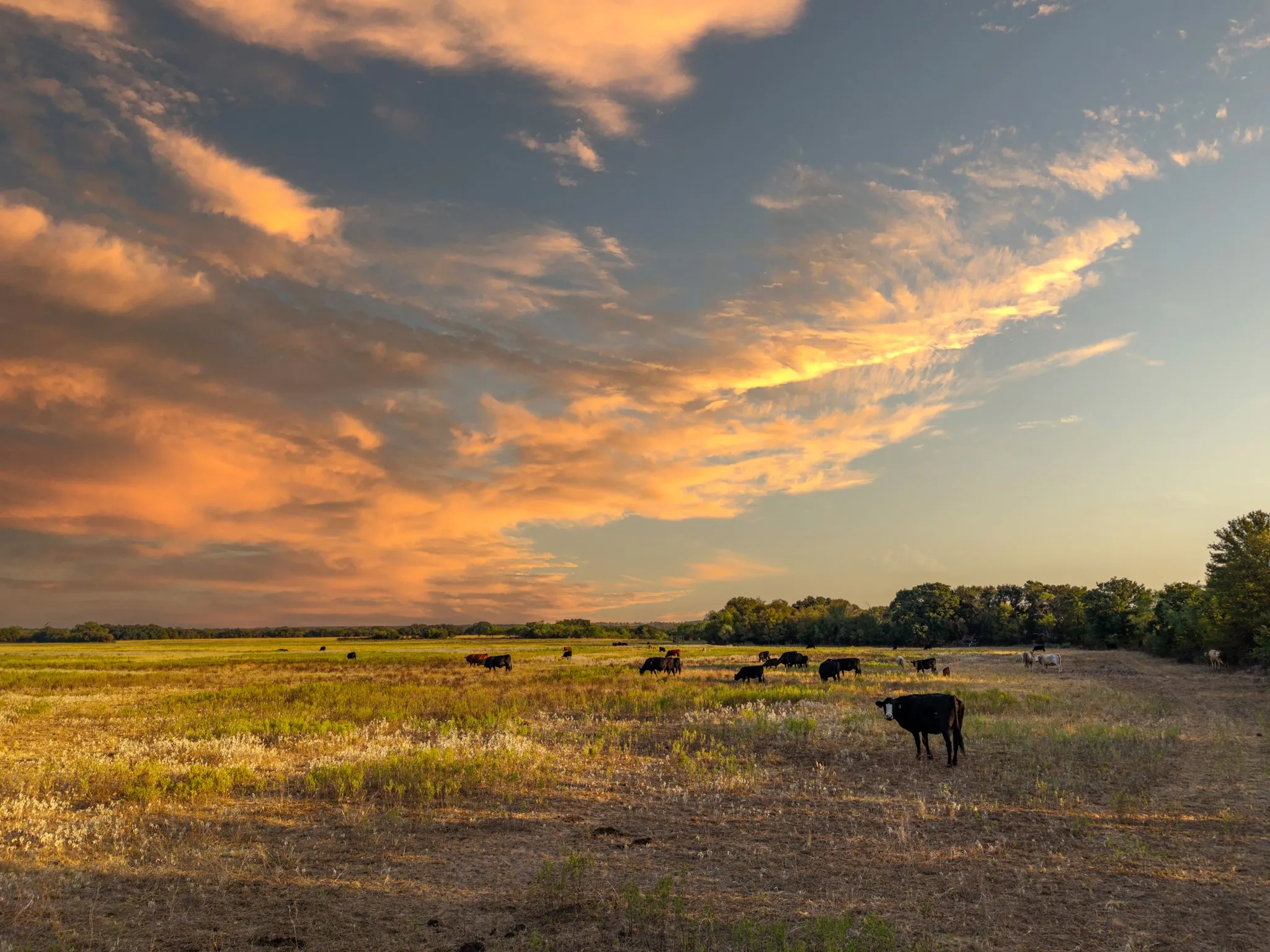 Ranch For Sale in Comanche County , 719 County Road 193, Comanche, Texas 76442, 0, 0, Garage spaces, 0 Sqft, built in 0, mls#21311749, Real Estate Agent in Comanche, Homes For Sale in Comanche county, Homes For Sale in Comanche, Realtor in Comanche Texas, Real Estate Brokerage Independent Realty Texas, Luminita Cordes Realtor