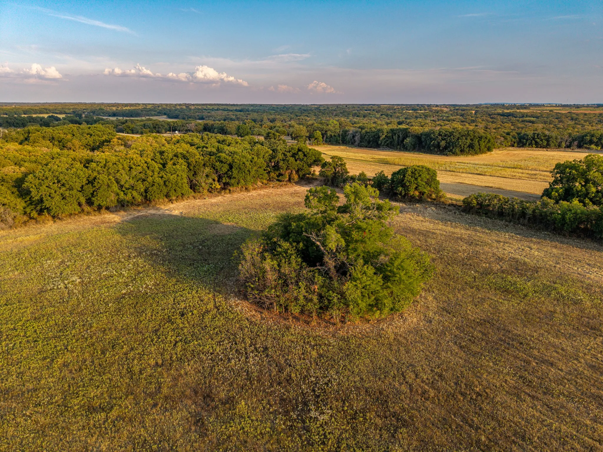 Ranch For Sale in Comanche County , 719 County Road 193, Comanche, Texas 76442, 0, 0, Garage spaces, 0 Sqft, built in 0, mls#21311749, Real Estate Agent in Comanche, Homes For Sale in Comanche county, Homes For Sale in Comanche, Realtor in Comanche Texas, Real Estate Brokerage Independent Realty Texas, Luminita Cordes Realtor