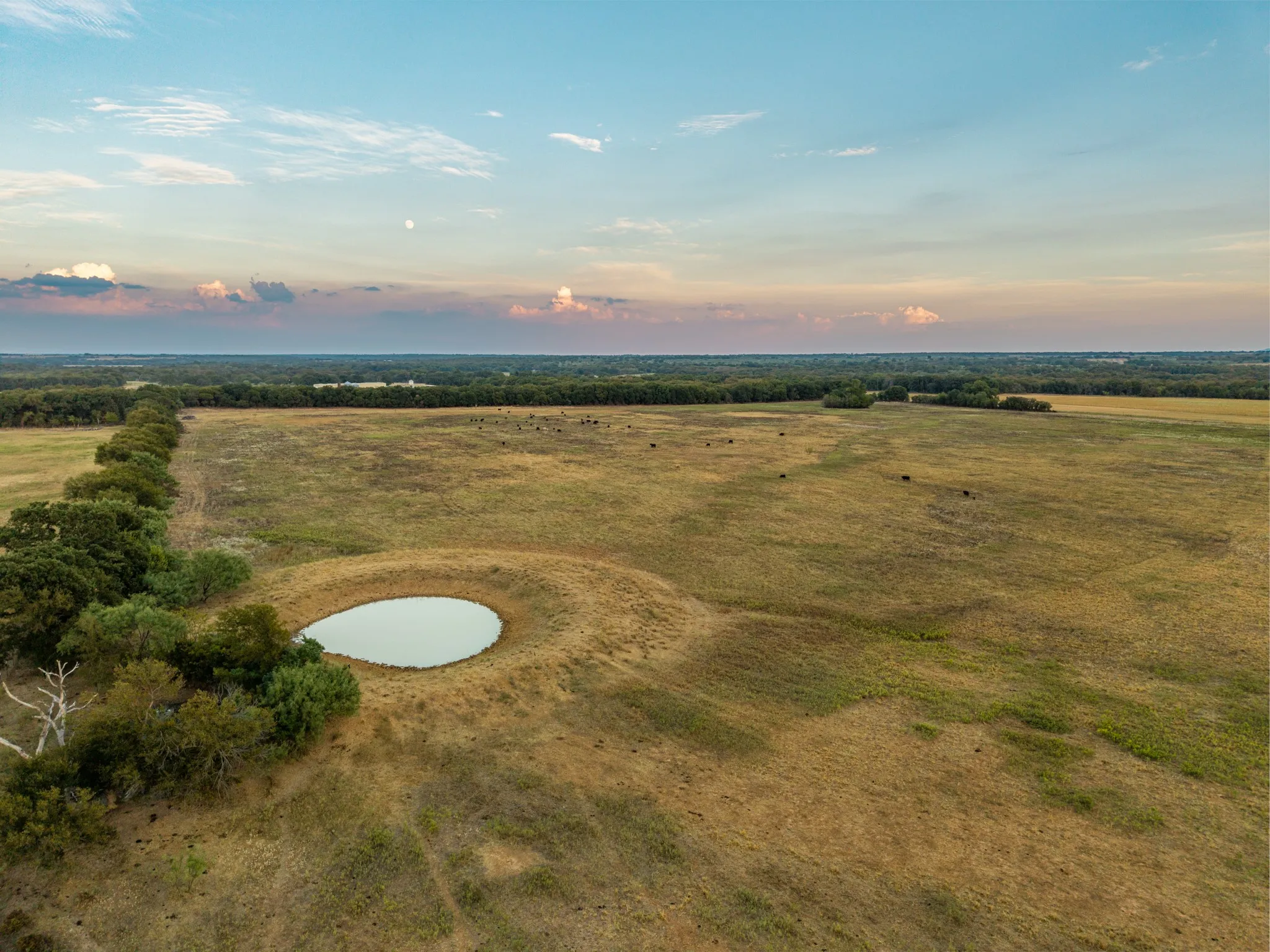 Ranch For Sale in Comanche County , 719 County Road 193, Comanche, Texas 76442, 0, 0, Garage spaces, 0 Sqft, built in 0, mls#21311749, Real Estate Agent in Comanche, Homes For Sale in Comanche county, Homes For Sale in Comanche, Realtor in Comanche Texas, Real Estate Brokerage Independent Realty Texas, Luminita Cordes Realtor