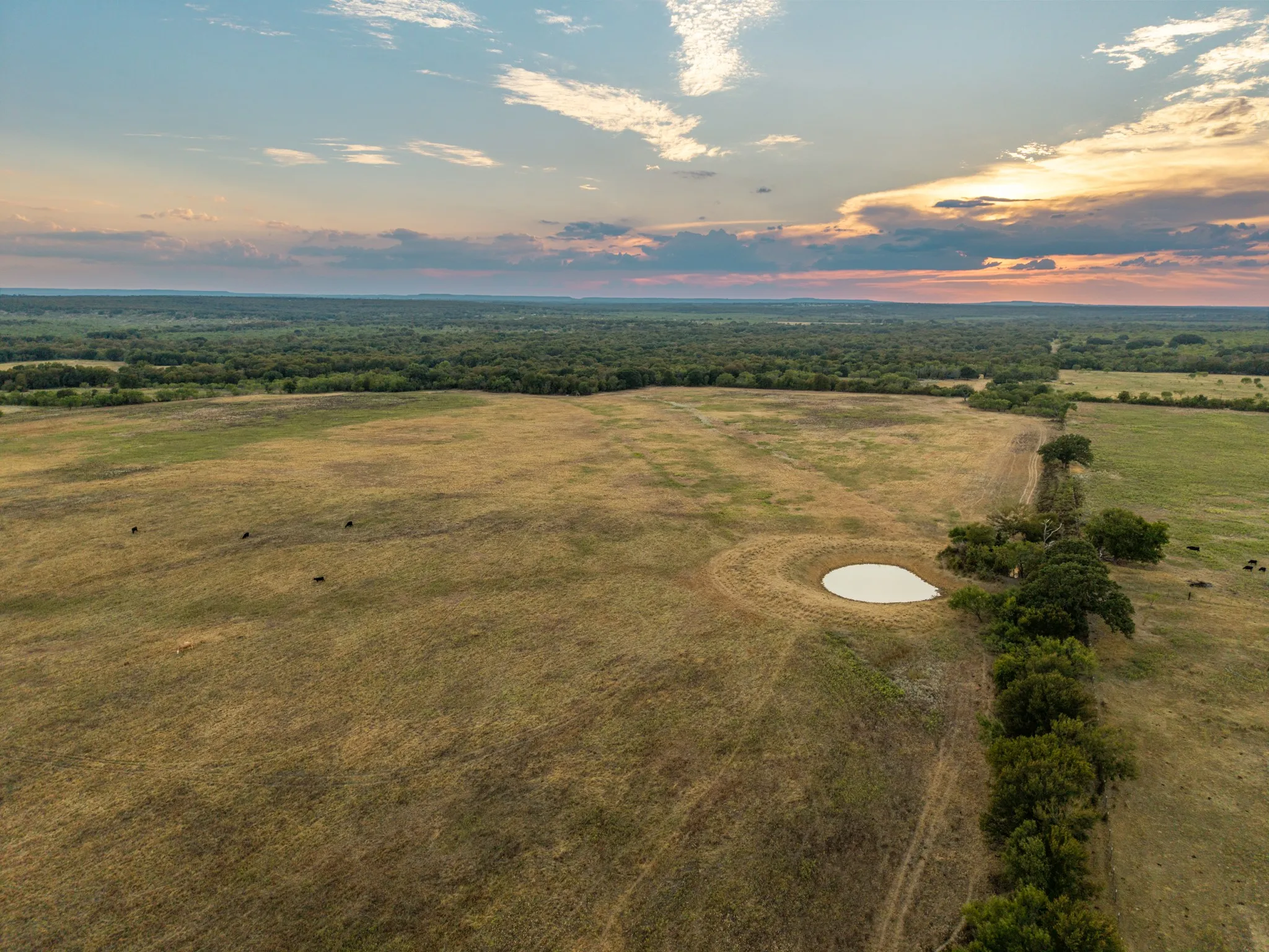 Ranch For Sale in Comanche County , 719 County Road 193, Comanche, Texas 76442, 0, 0, Garage spaces, 0 Sqft, built in 0, mls#21311749, Real Estate Agent in Comanche, Homes For Sale in Comanche county, Homes For Sale in Comanche, Realtor in Comanche Texas, Real Estate Brokerage Independent Realty Texas, Luminita Cordes Realtor