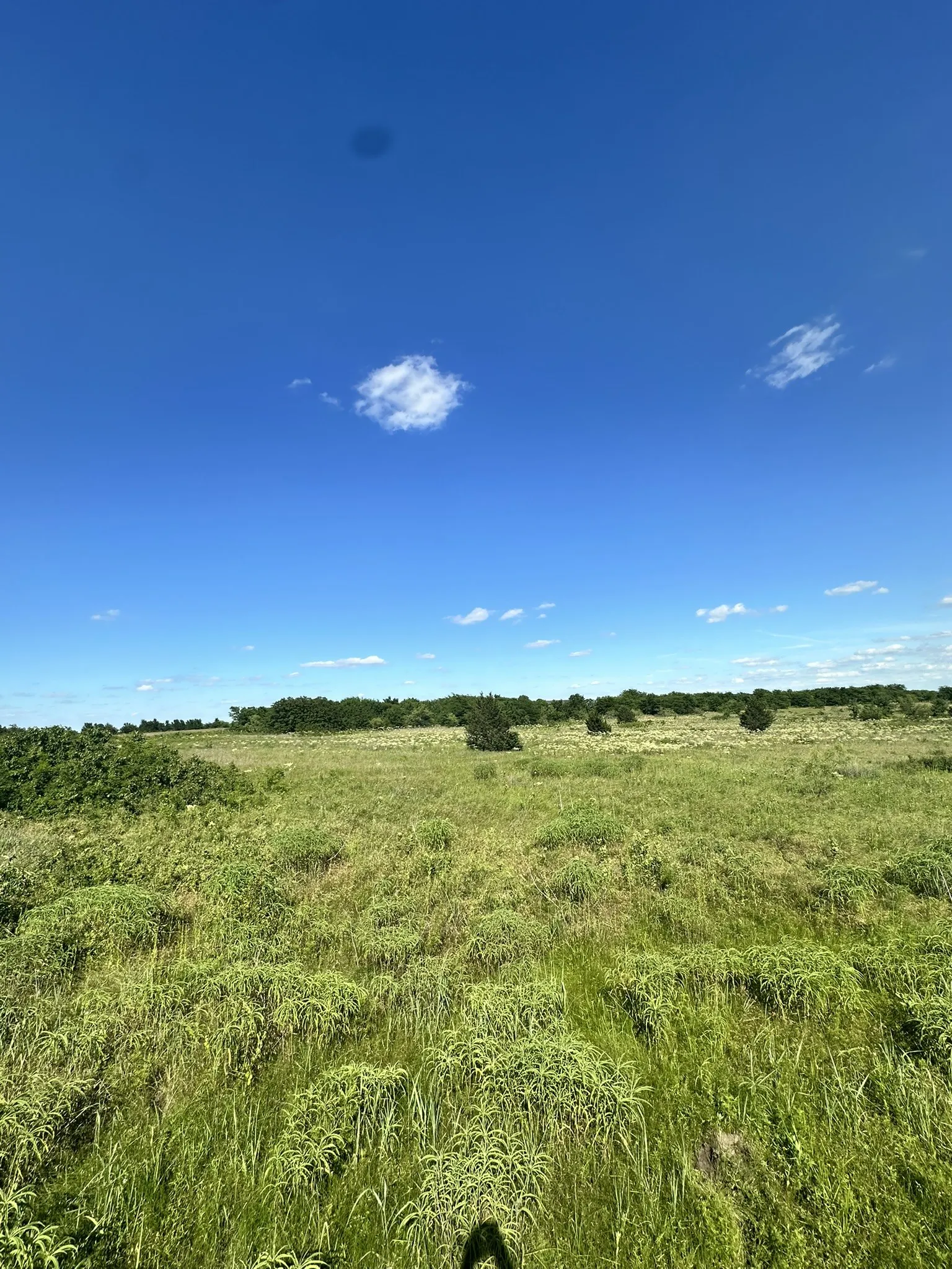 Ranch For Sale in Cooke County , lot 8 County Road 410, Callisburg, Texas 76240, 0, 0, Garage spaces, 0 Sqft, built in 0, Price $220,000, mls#21315244, Real Estate Agent in Callisburg, Homes For Sale in Cooke county, Homes For Sale in Callisburg, Realtor in Callisburg Texas, Real Estate Brokerage Independent Realty Texas, Luminita Cordes Realtor