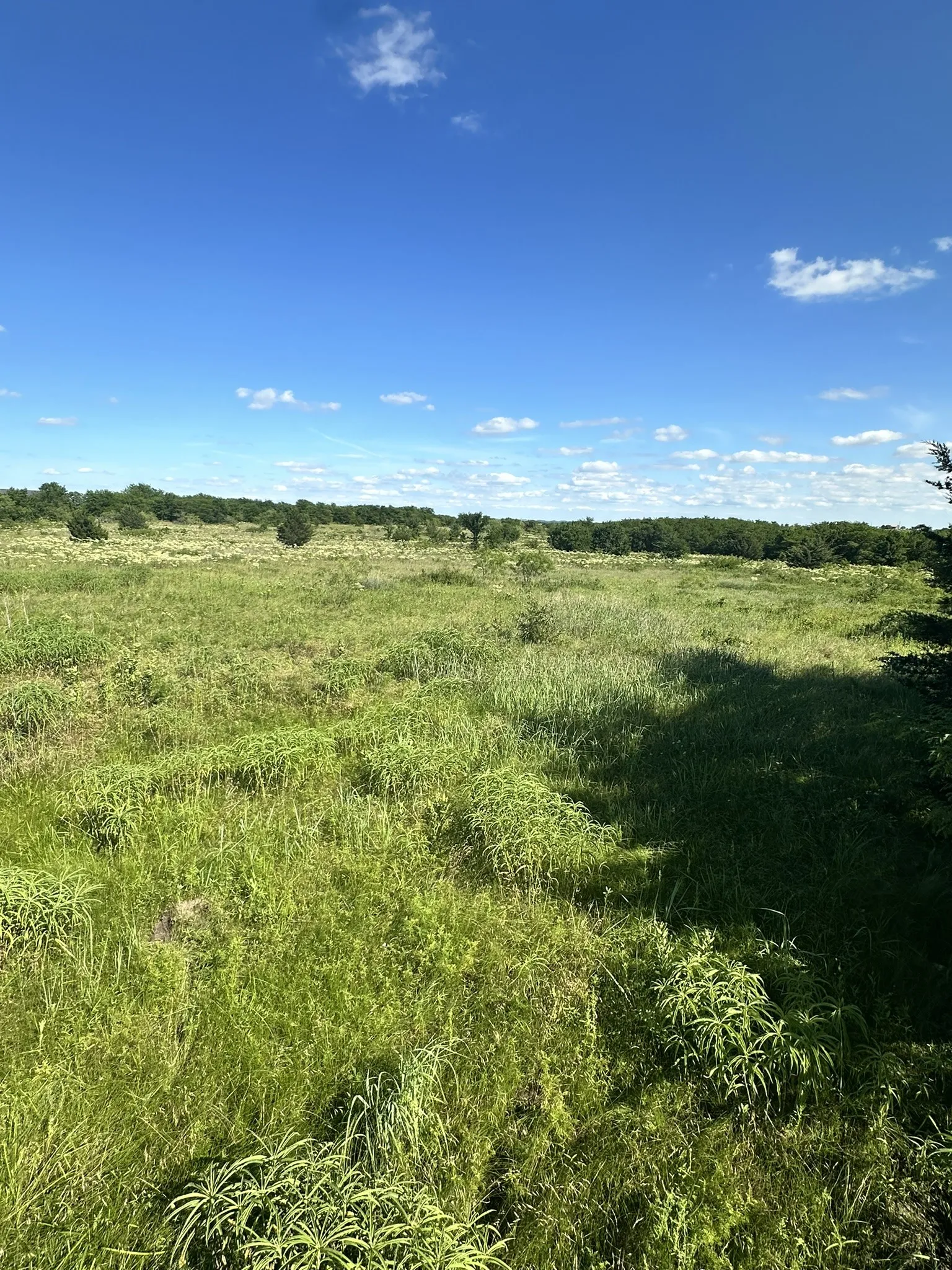 Ranch For Sale in Cooke County , lot 8 County Road 410, Callisburg, Texas 76240, 0, 0, Garage spaces, 0 Sqft, built in 0, Price $220,000, mls#21315244, Real Estate Agent in Callisburg, Homes For Sale in Cooke county, Homes For Sale in Callisburg, Realtor in Callisburg Texas, Real Estate Brokerage Independent Realty Texas, Luminita Cordes Realtor
