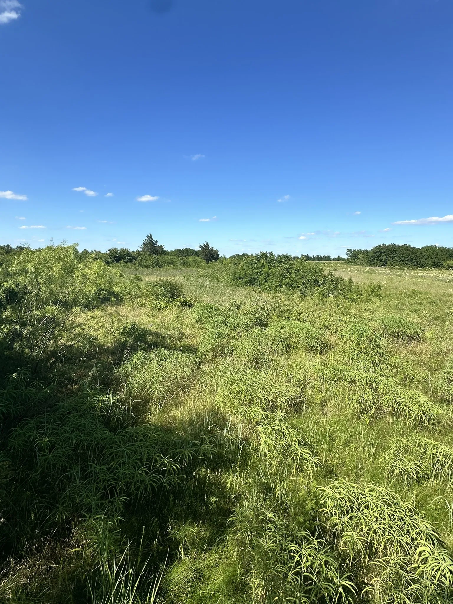Ranch For Sale in Cooke County , lot 8 County Road 410, Callisburg, Texas 76240, 0, 0, Garage spaces, 0 Sqft, built in 0, Price $220,000, mls#21315244, Real Estate Agent in Callisburg, Homes For Sale in Cooke county, Homes For Sale in Callisburg, Realtor in Callisburg Texas, Real Estate Brokerage Independent Realty Texas, Luminita Cordes Realtor