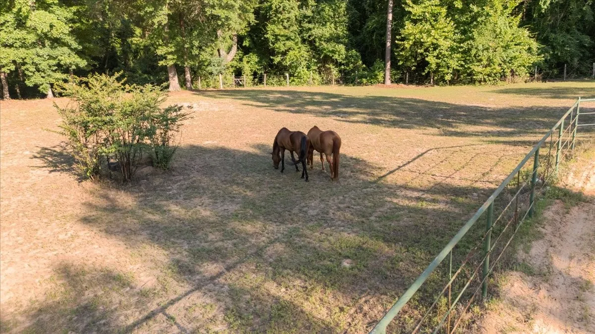 Single Family Residence For Sale in Smith County , 18598 FM 1804, Lindale, Texas 75771, 4 Bedroom, 3 Bathroom, 2 Garage spaces, 2,942 Sqft, built in 2011, mls#21315245, Real Estate Agent in Lindale, Homes For Sale in Smith county, Homes For Sale in Lindale, Realtor in Lindale Texas, Real Estate Brokerage Independent Realty Texas, Luminita Cordes Realtor