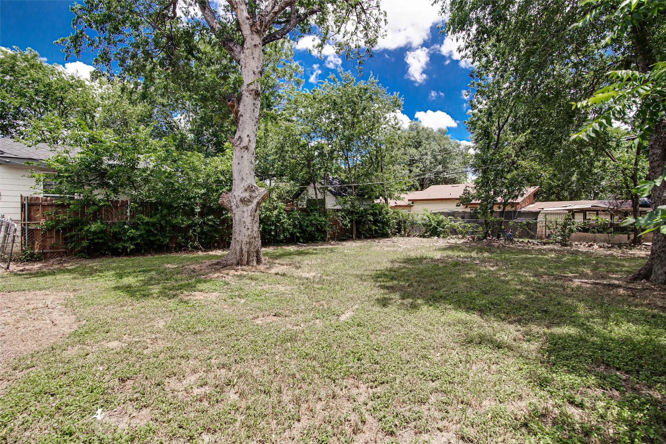 Spacious backyard area featuring a large mature tree, established green lawn, and wood privacy fencing