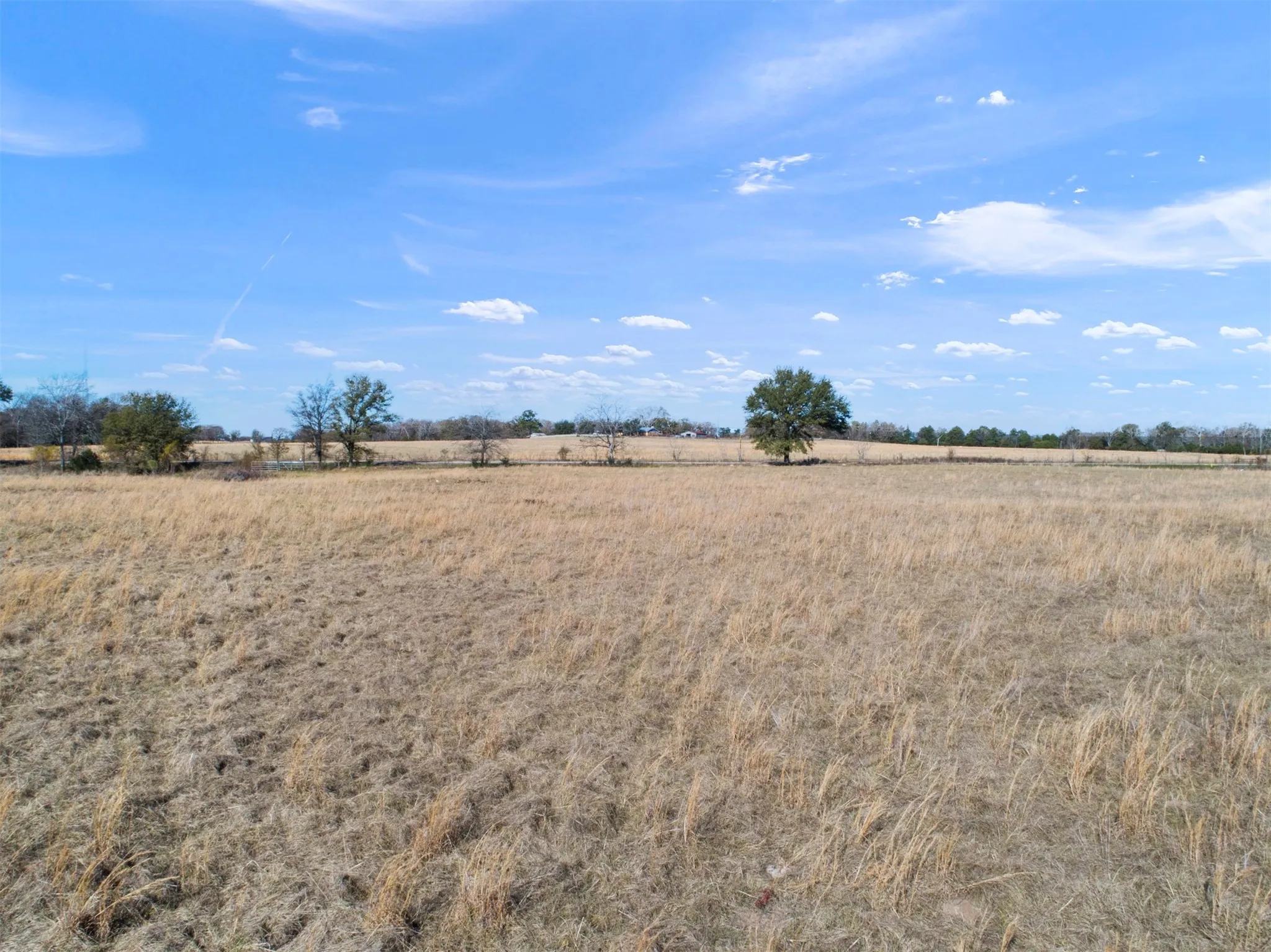 Unimproved Land For Sale in Van Zandt County , TBD FM 17 N, Grand Saline, Texas 75140, 0, 0, Garage spaces, 0 Sqft, built in 0, Price $372,300, mls#21309106, Real Estate Agent in Grand Saline, Homes For Sale in Van Zandt county, Homes For Sale in Grand Saline, Realtor in Grand Saline Texas, Real Estate Brokerage Independent Realty Texas, Luminita Cordes Realtor